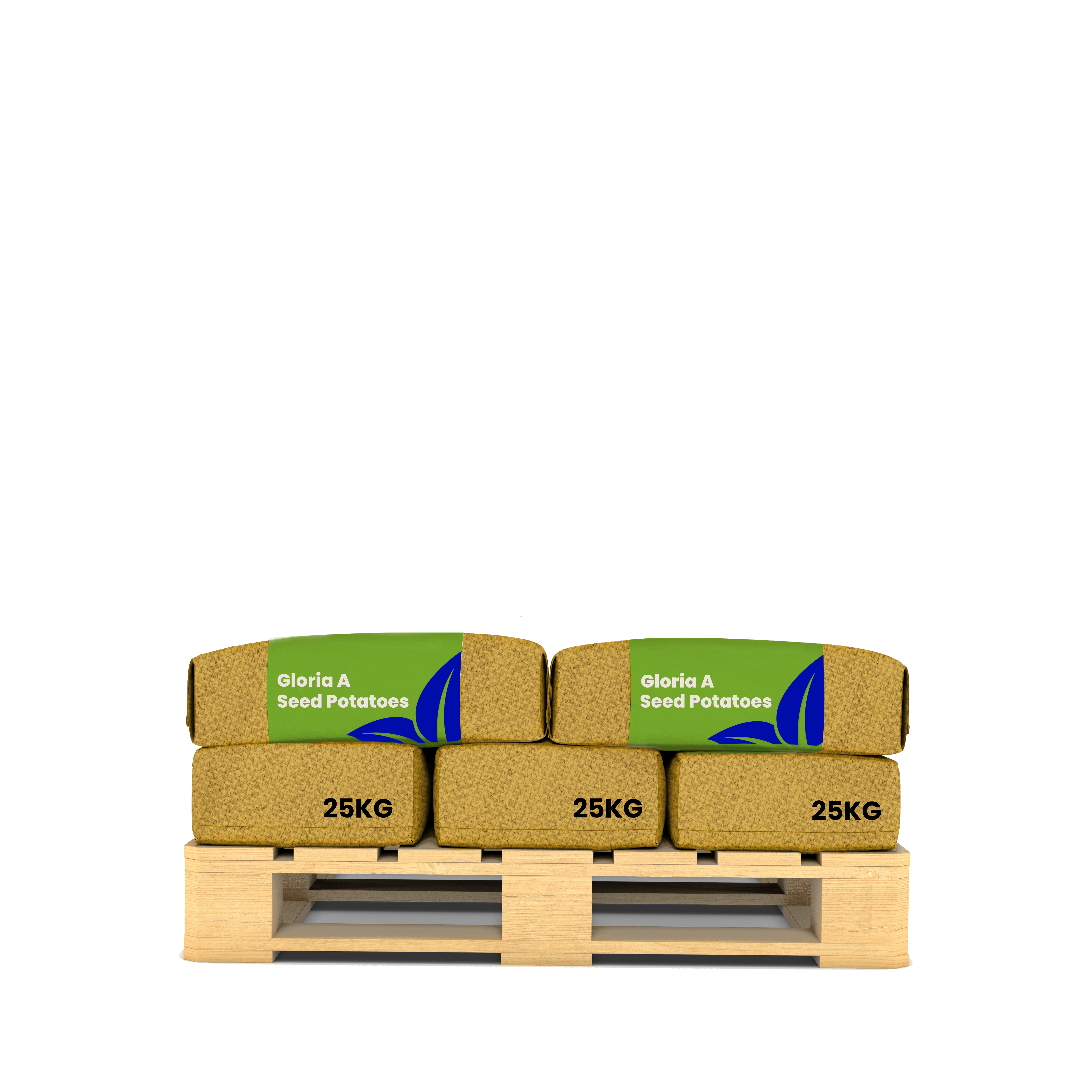 Pommes de terre de semence Gloria A 28/40 (250 kg)