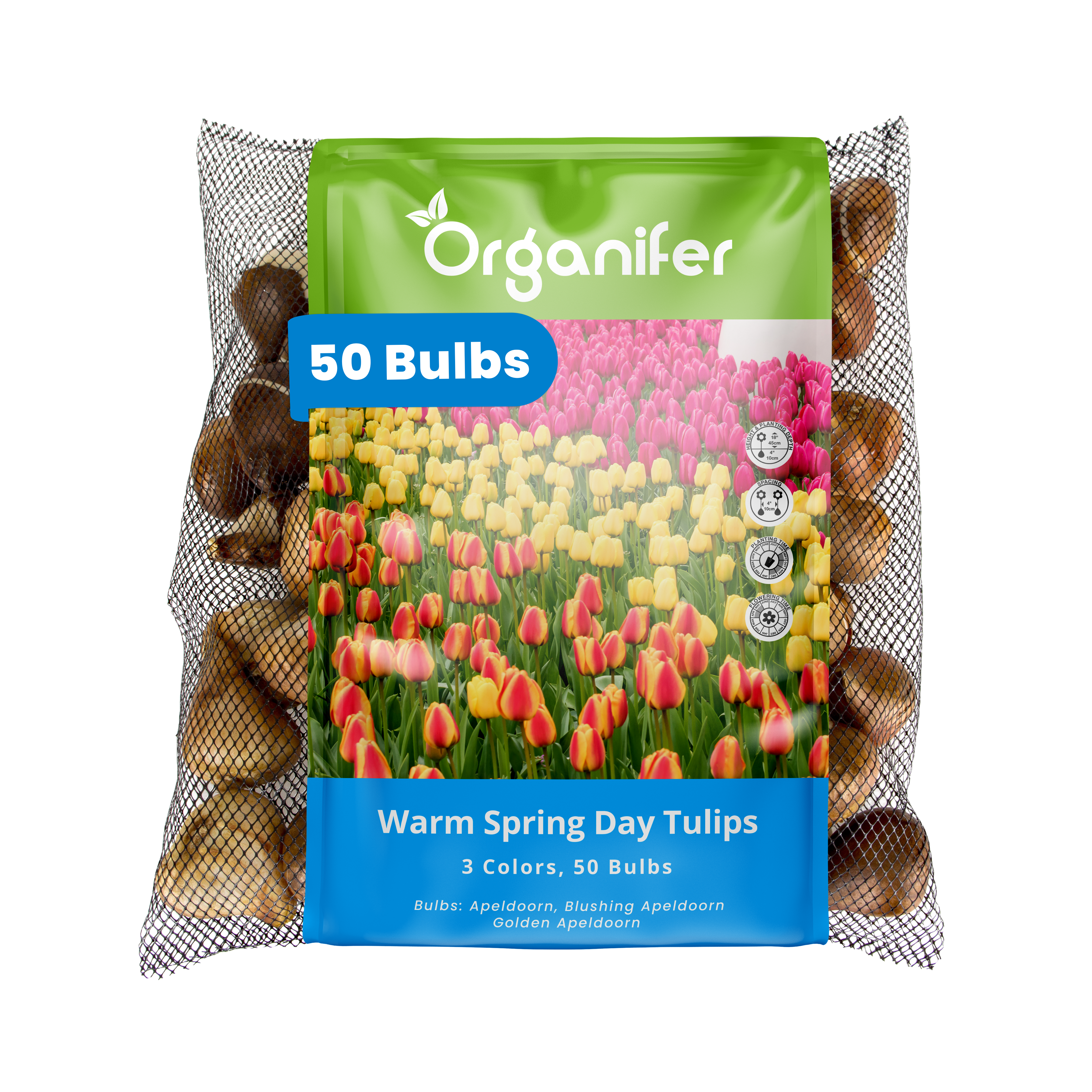 Package of Organifer tulip bulbs with a colorful label on a white background