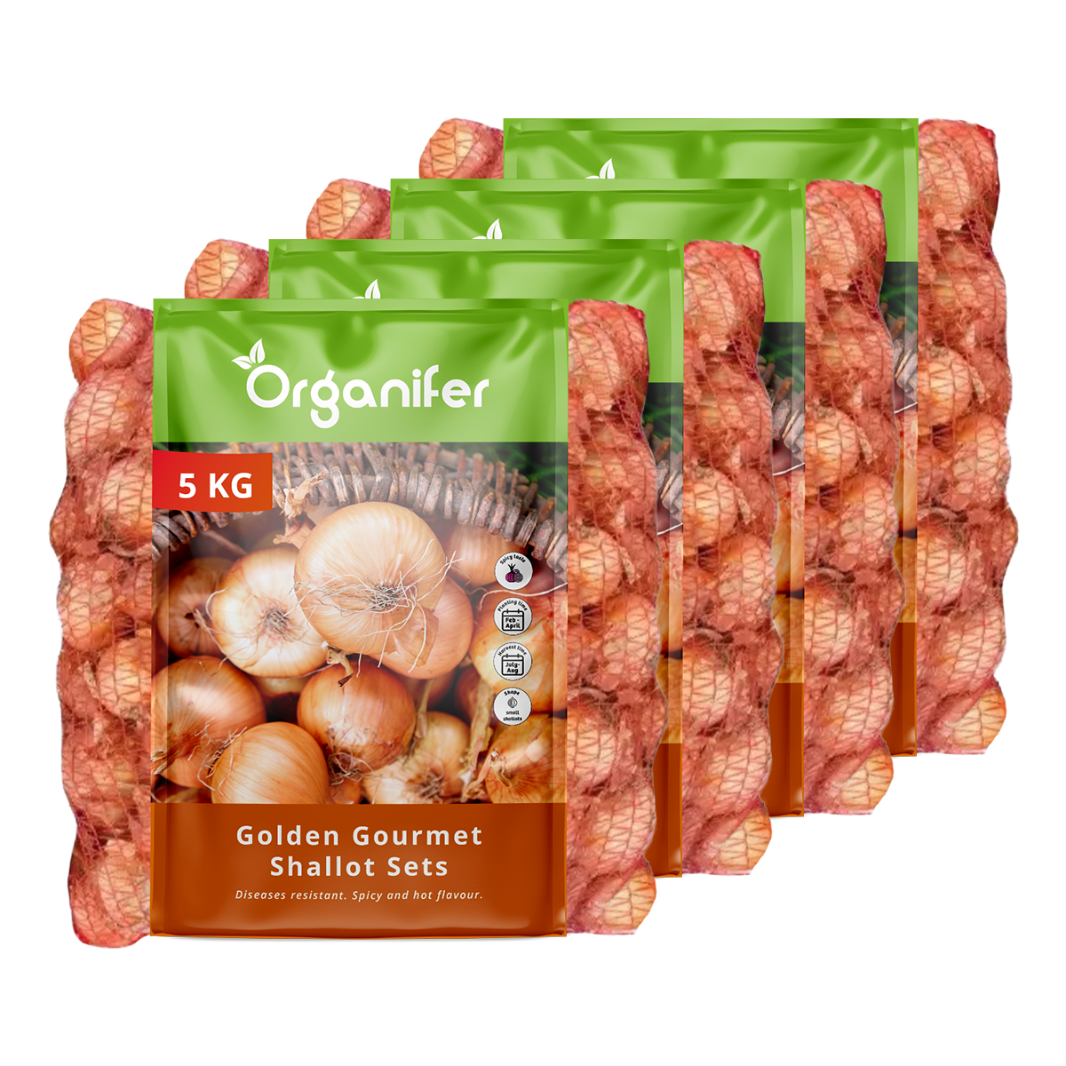 8719958991712 Shallots Sets Golden Gourmet (20 kg)