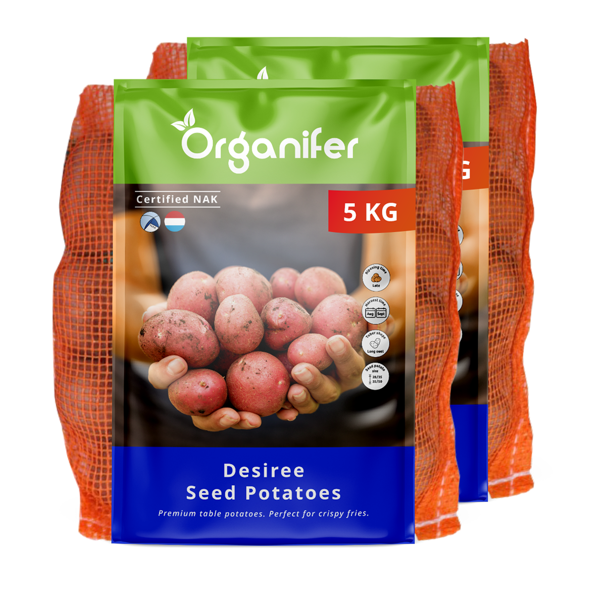 8719958992207 Potato Seeds Desiree A 28_35 (10 kg)