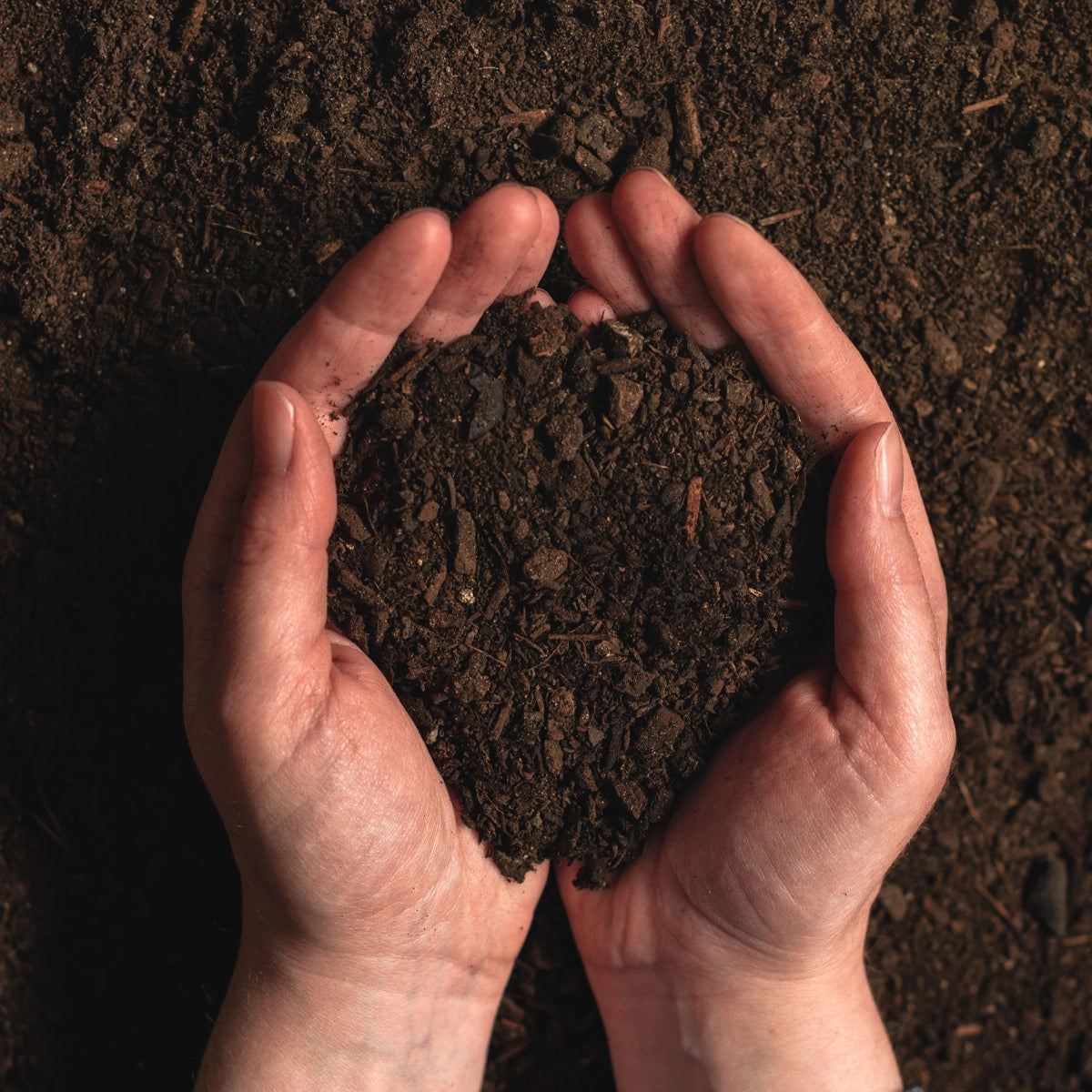 Encourages a Naturally Balanced Soil Ecosystem