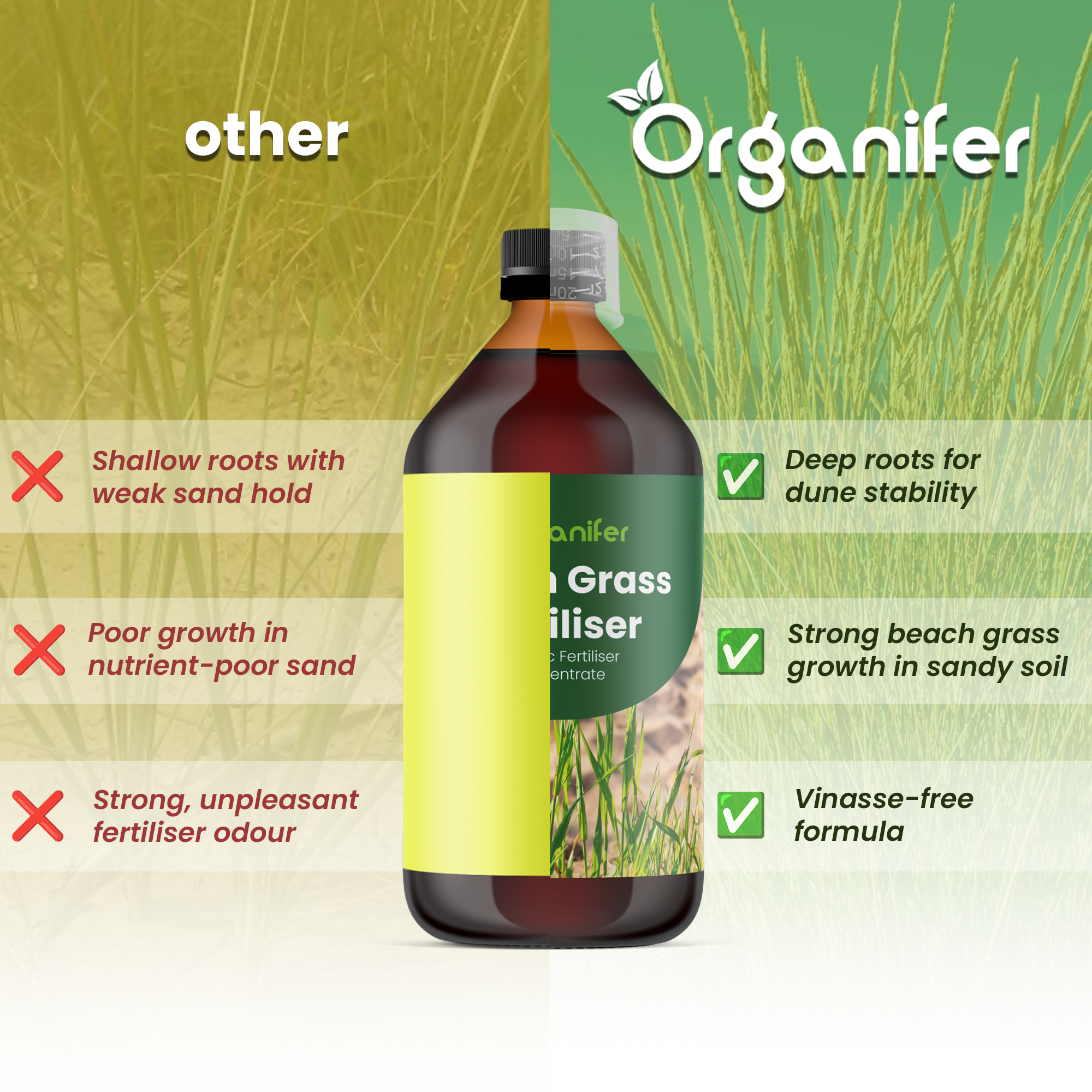 Beach Sand comparison