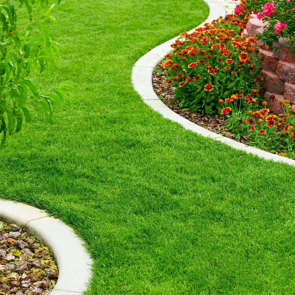 Snelwerkende formule voor zichtbare resultaten