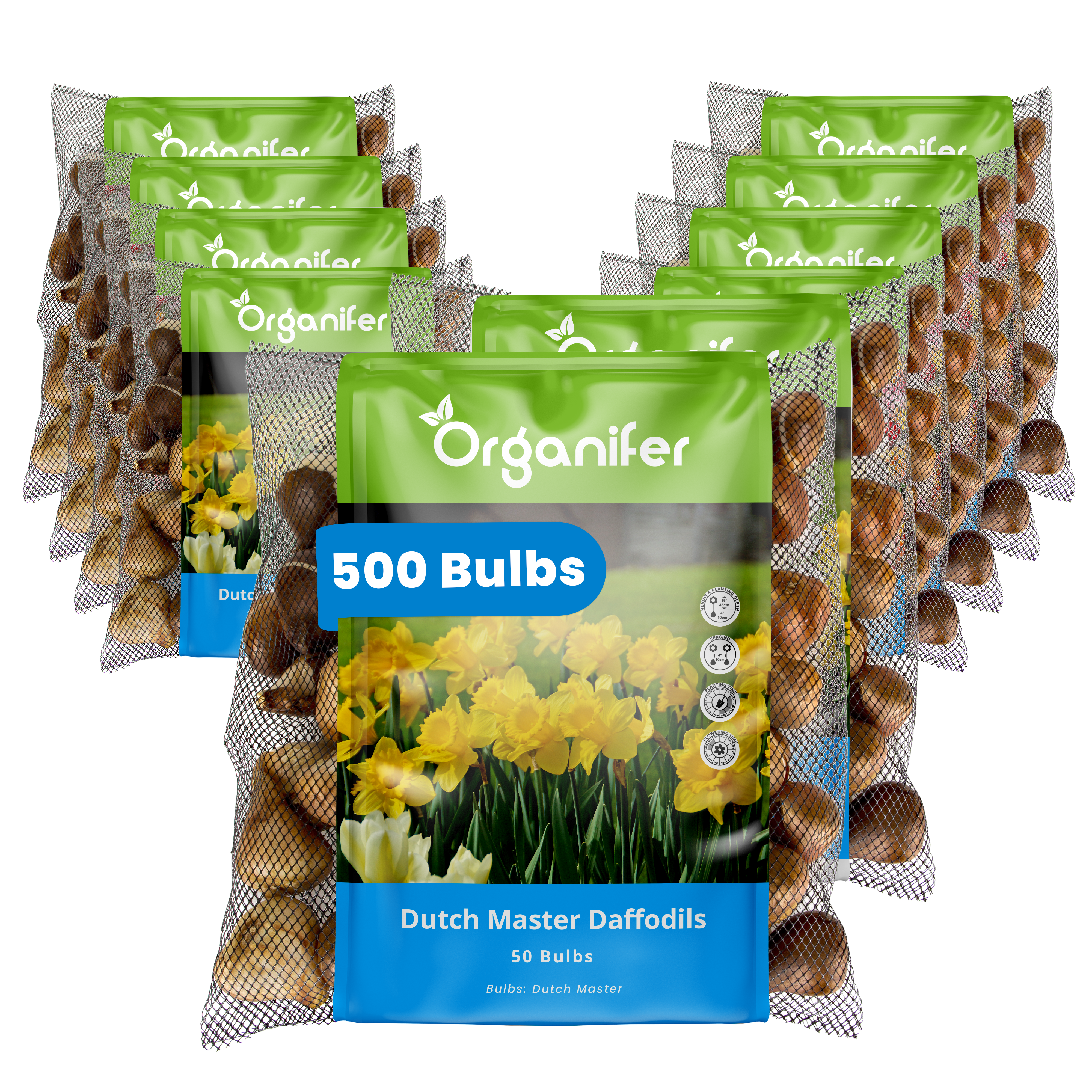 Multiple packages of Organifer Dutch Master Daffodils bulbs on a white background