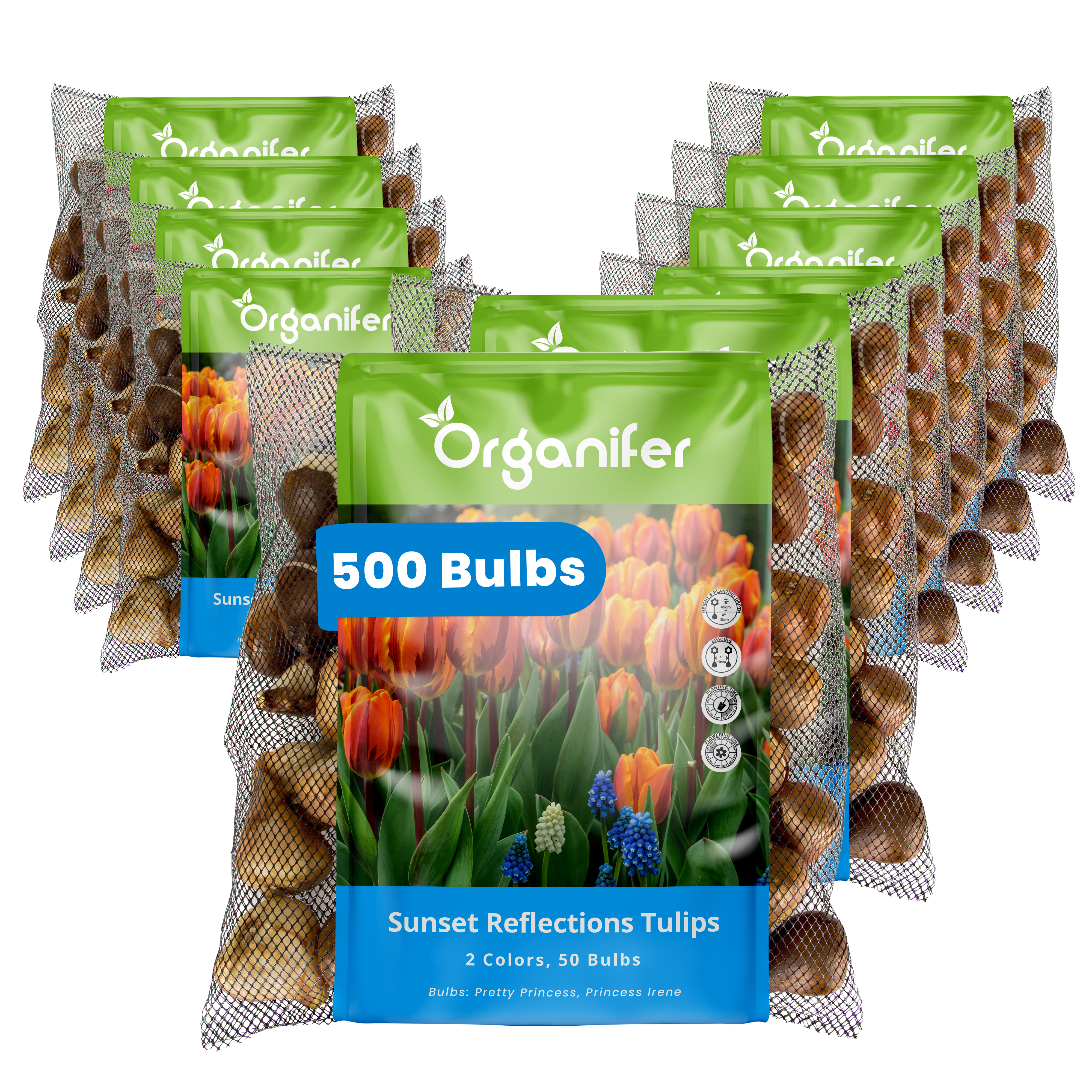 Multiple packages of Organifer sunset reflections tulip bulbs on a white background