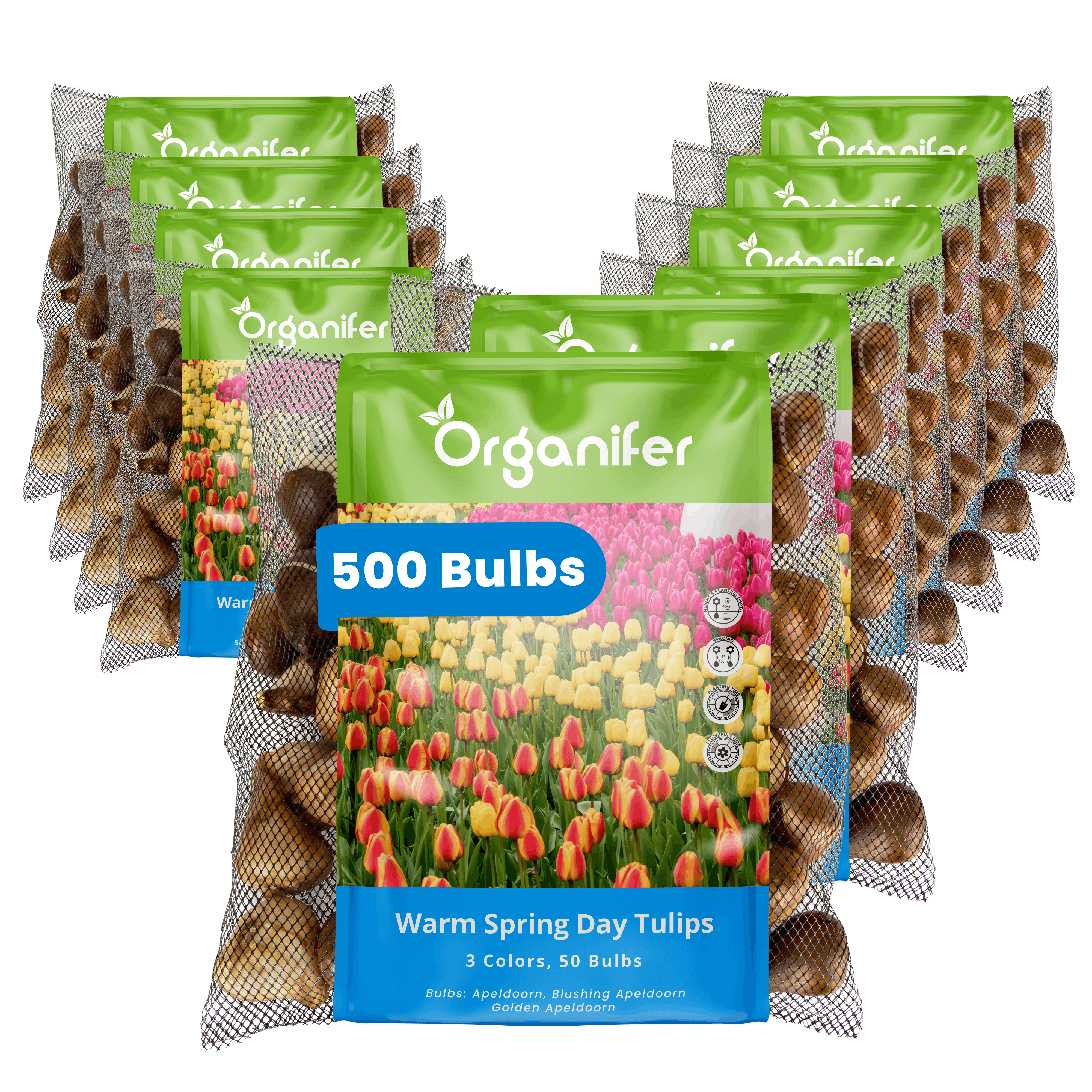 Multiple packages of Organifer tulip bulbs on a white background