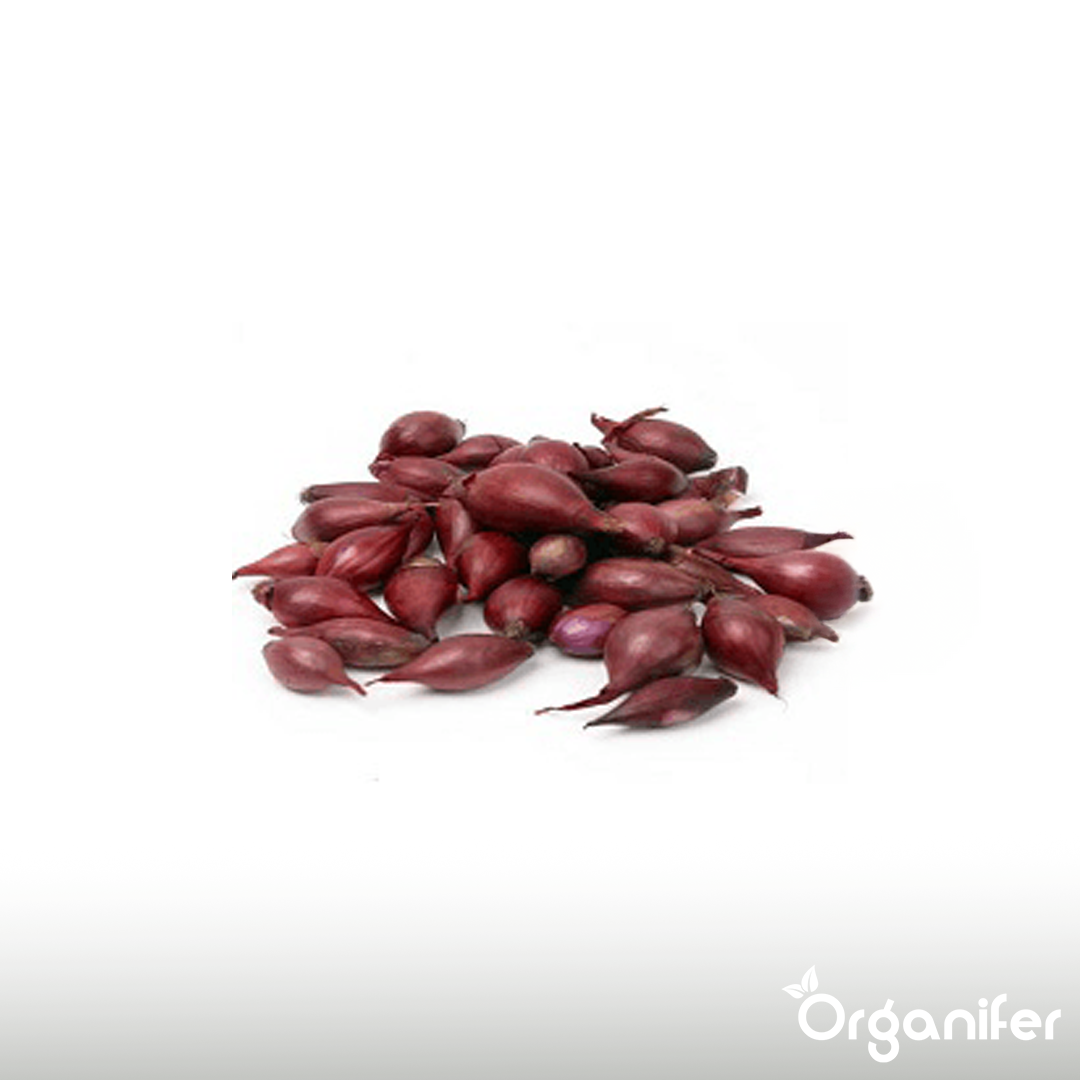 Onion Sets Red Baron 14_21 9