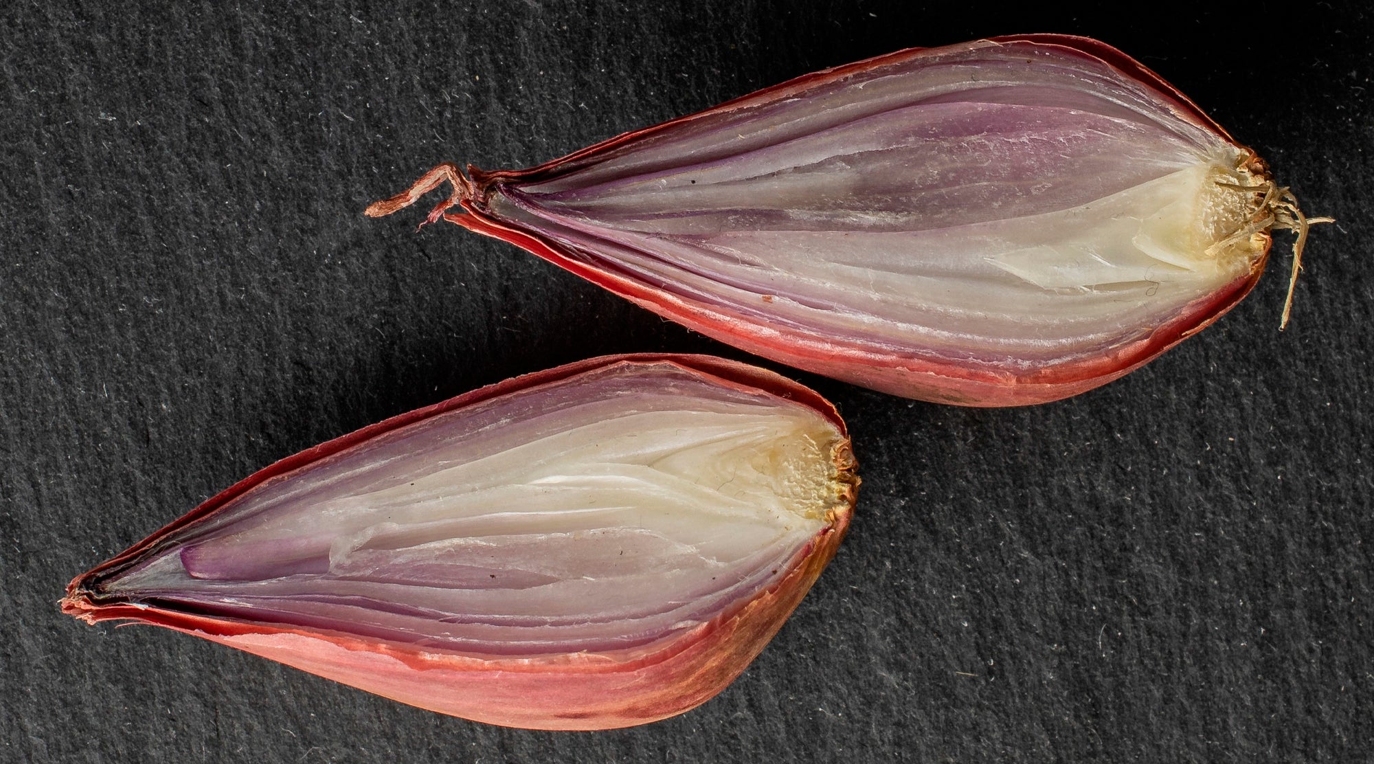 Premium NAK-Certified