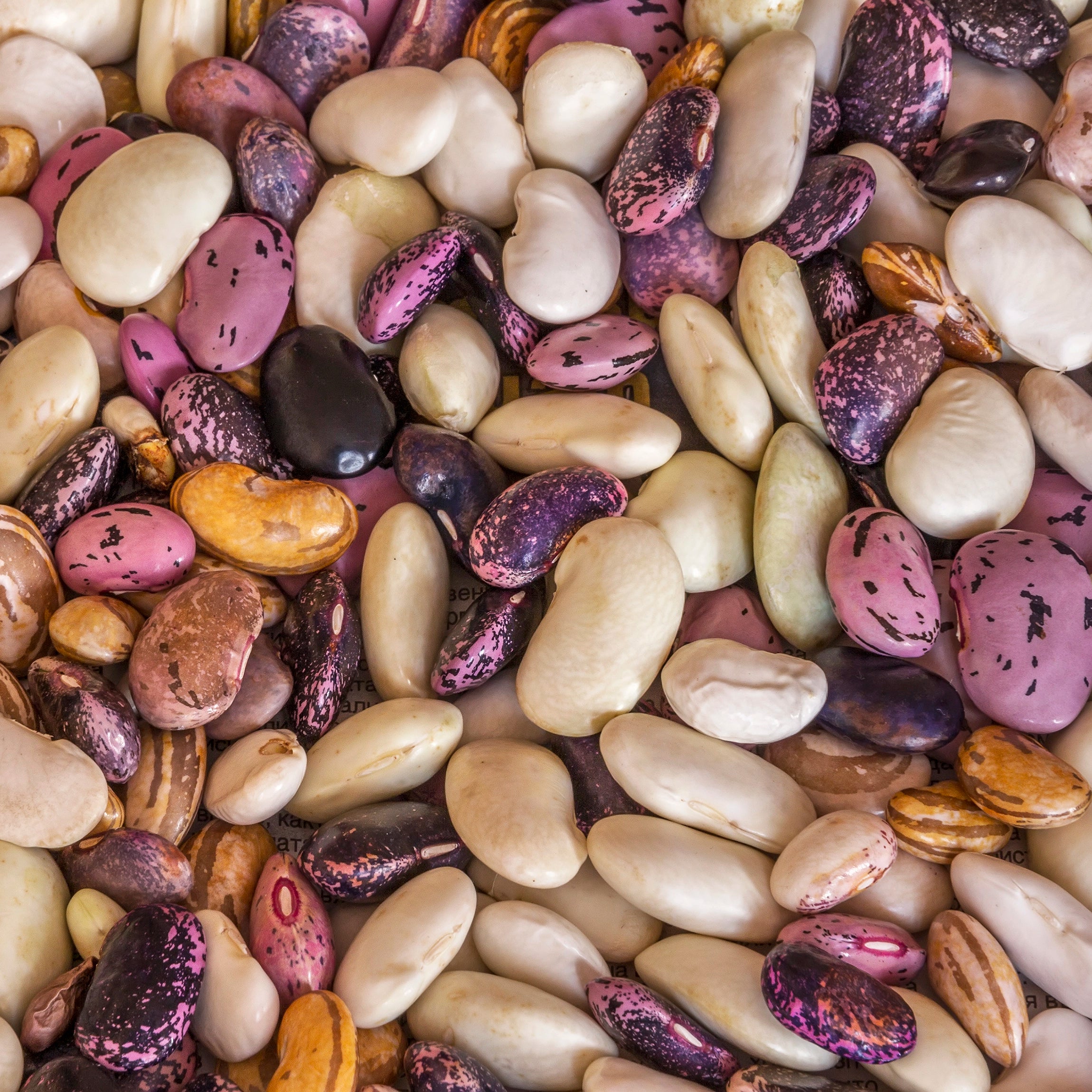 Promotes Firm, Straight Pods