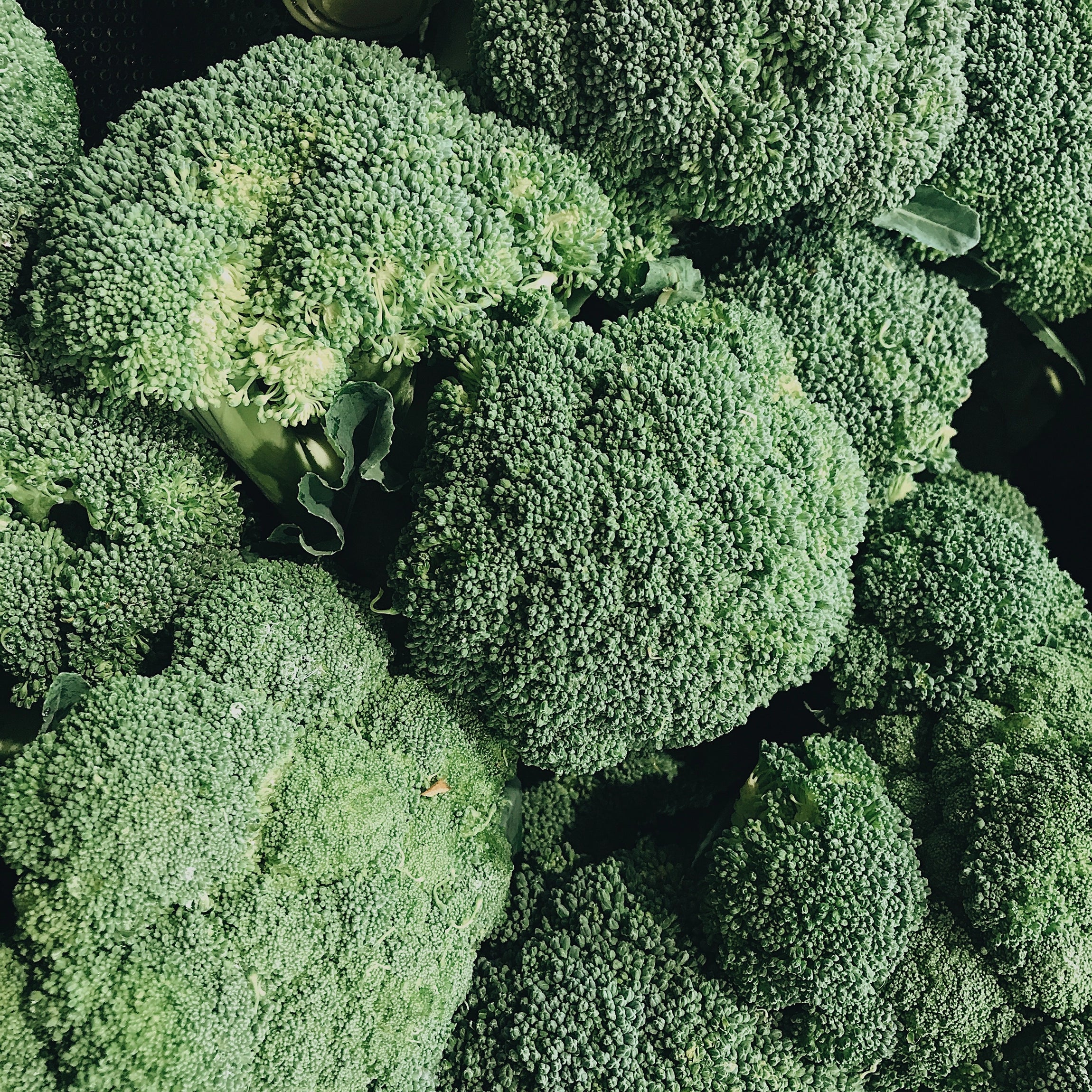 Enhances Dense, Compact Broccoli Heads