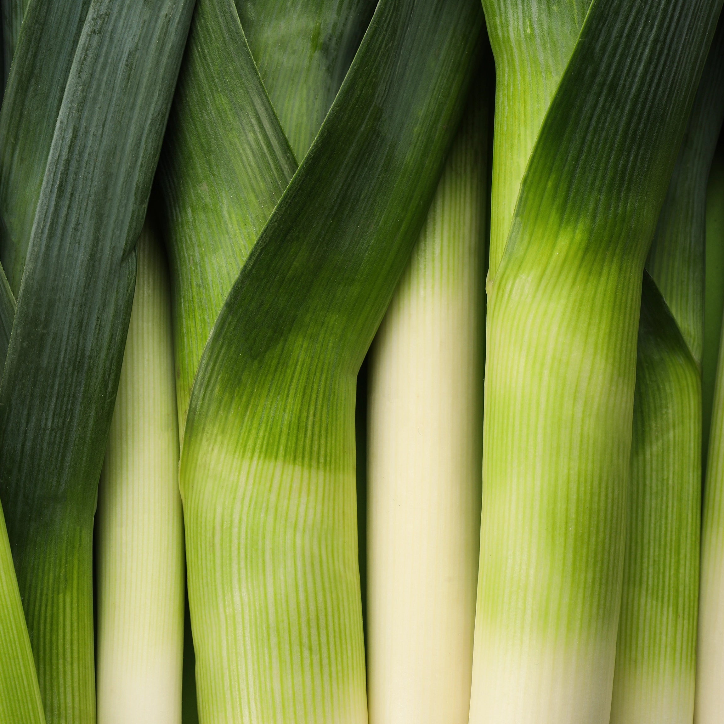 Improves Leaf Texture and Colour