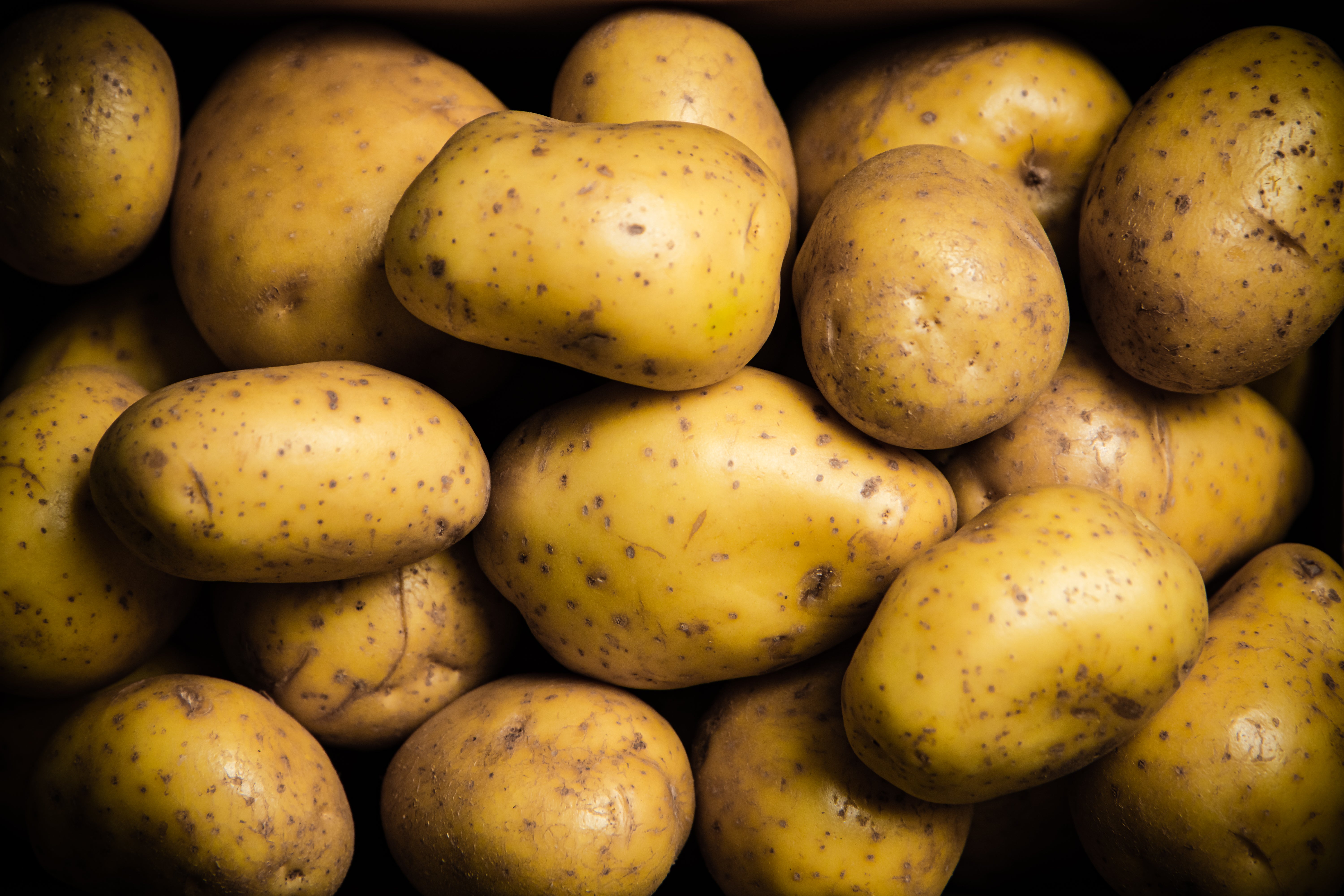 Boosts Growth, Vitality, and Resilience