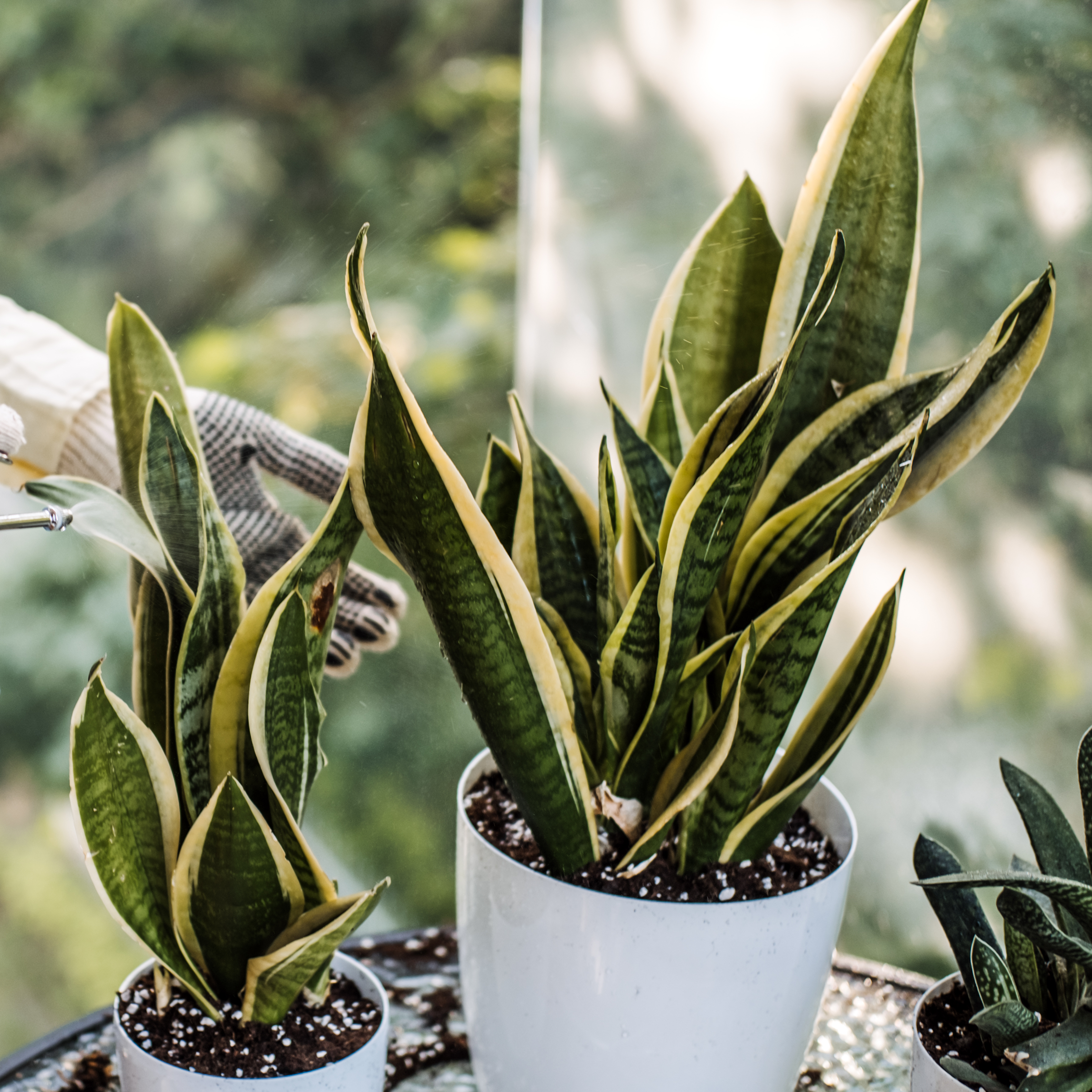 Improves Resilience in Challenging Indoor Conditions