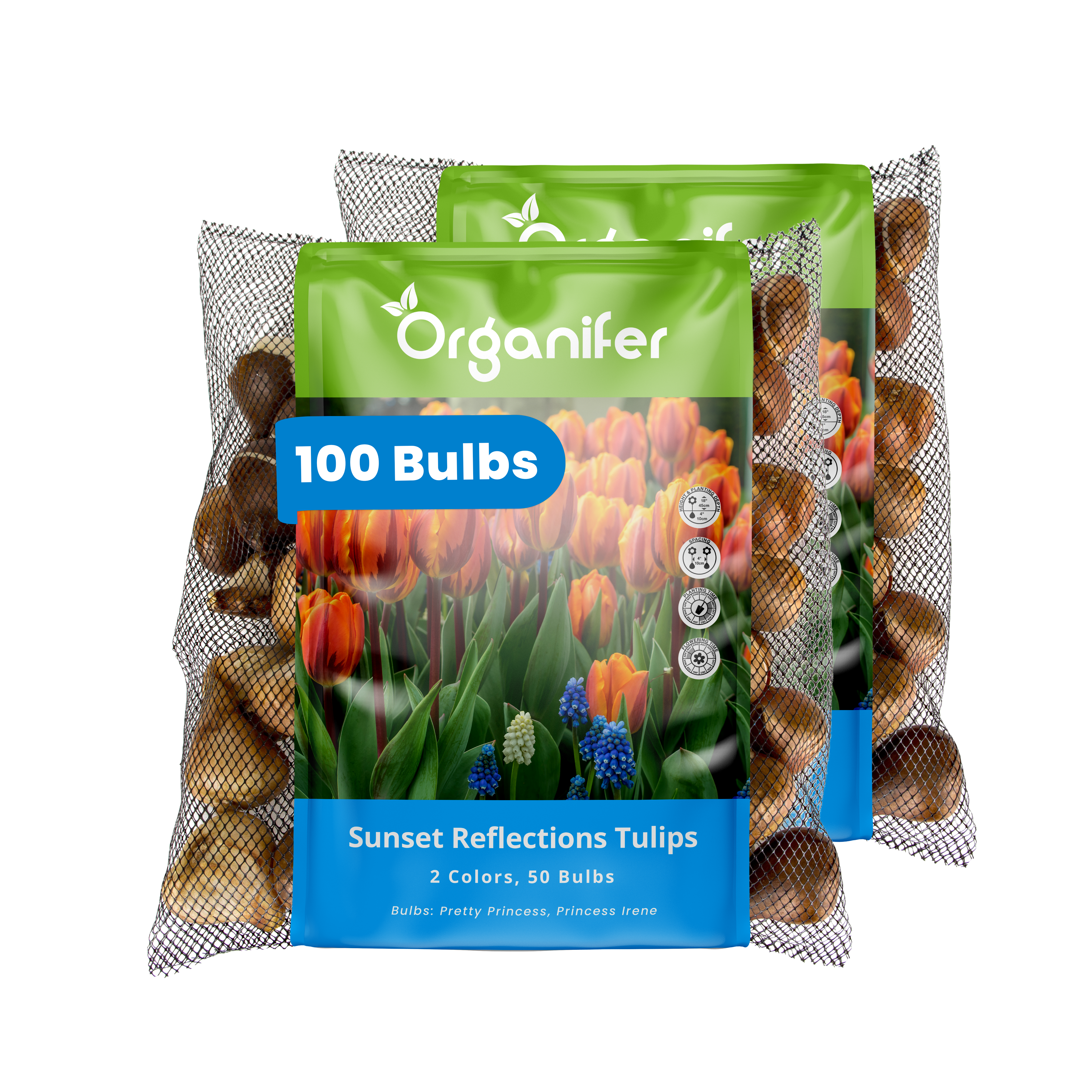 Organifer tulip bulbs packaging with a white background