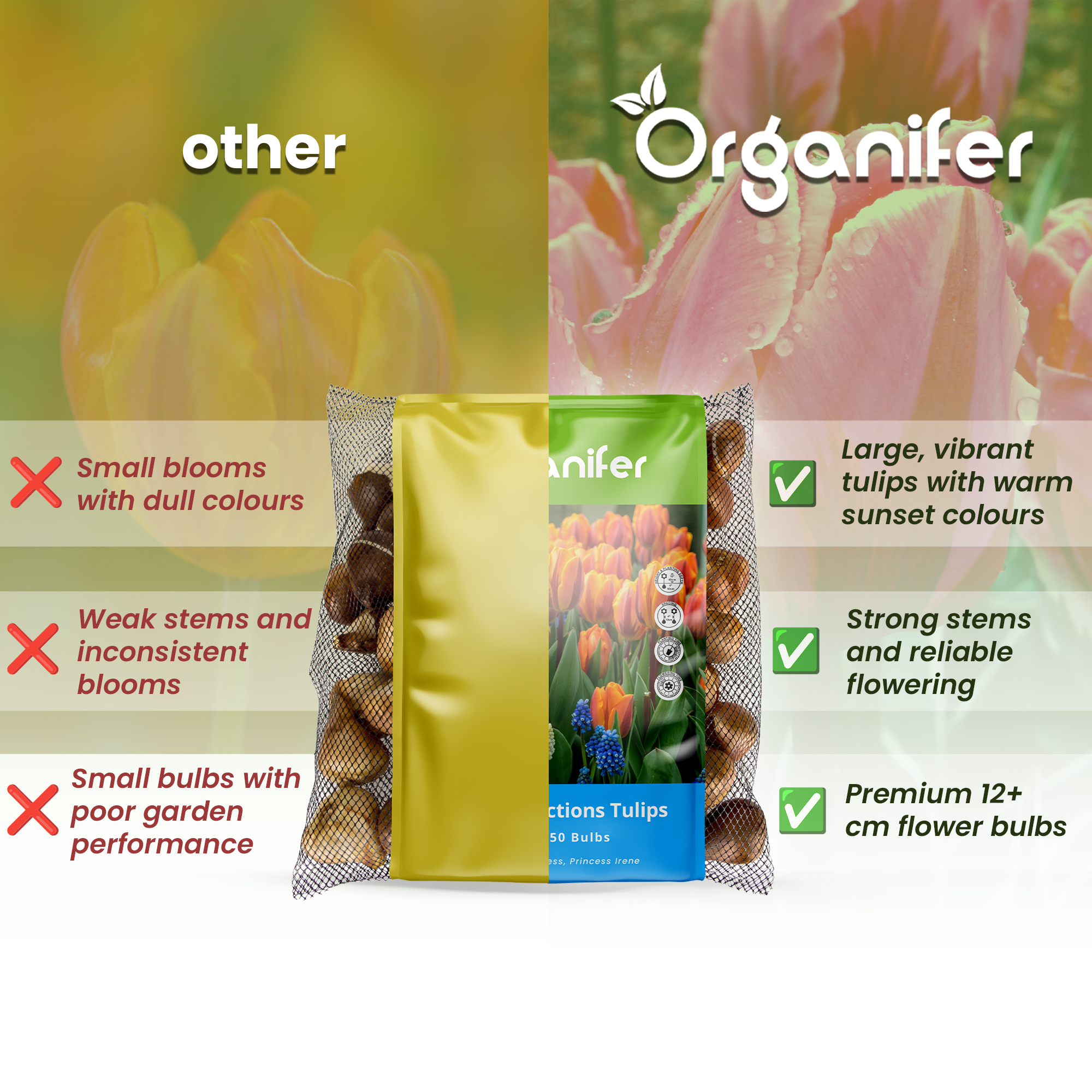 Organifer tulip bulbs packaging with product features highlighted