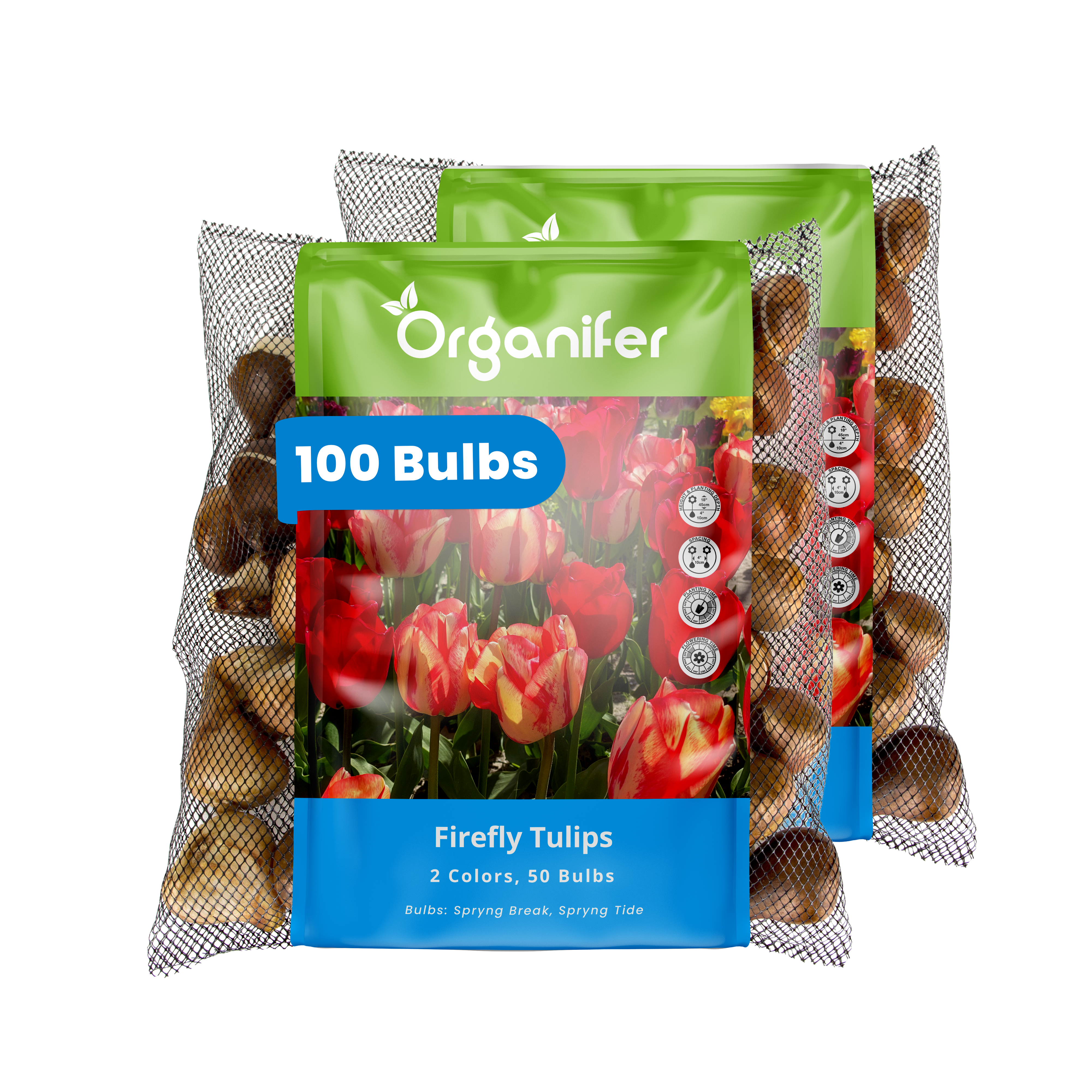 Package of Organifer Firefly Tulips bulbs with a clear background