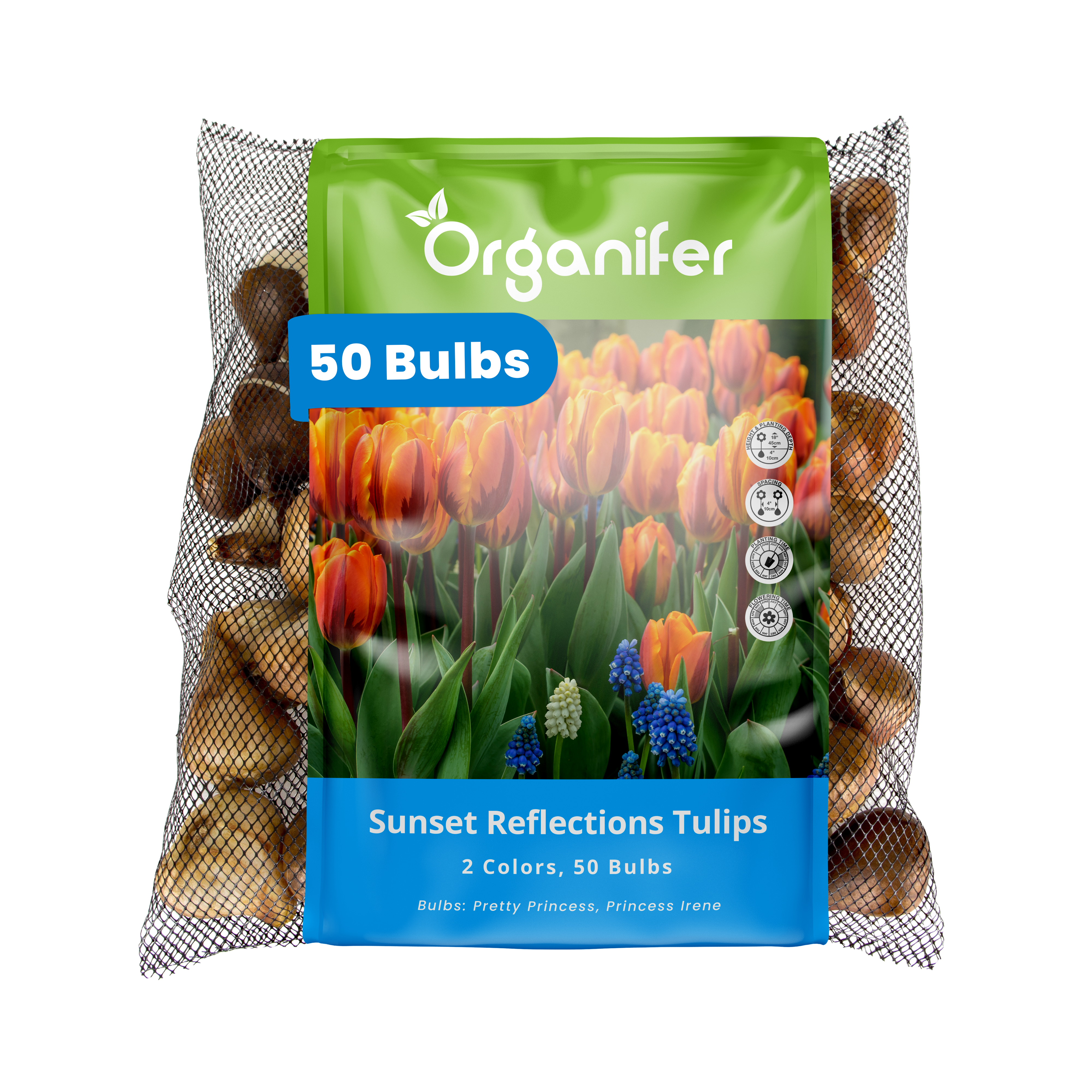 Package of Organifer Sunset Reflections Tulips with tulip bulbs on a white background