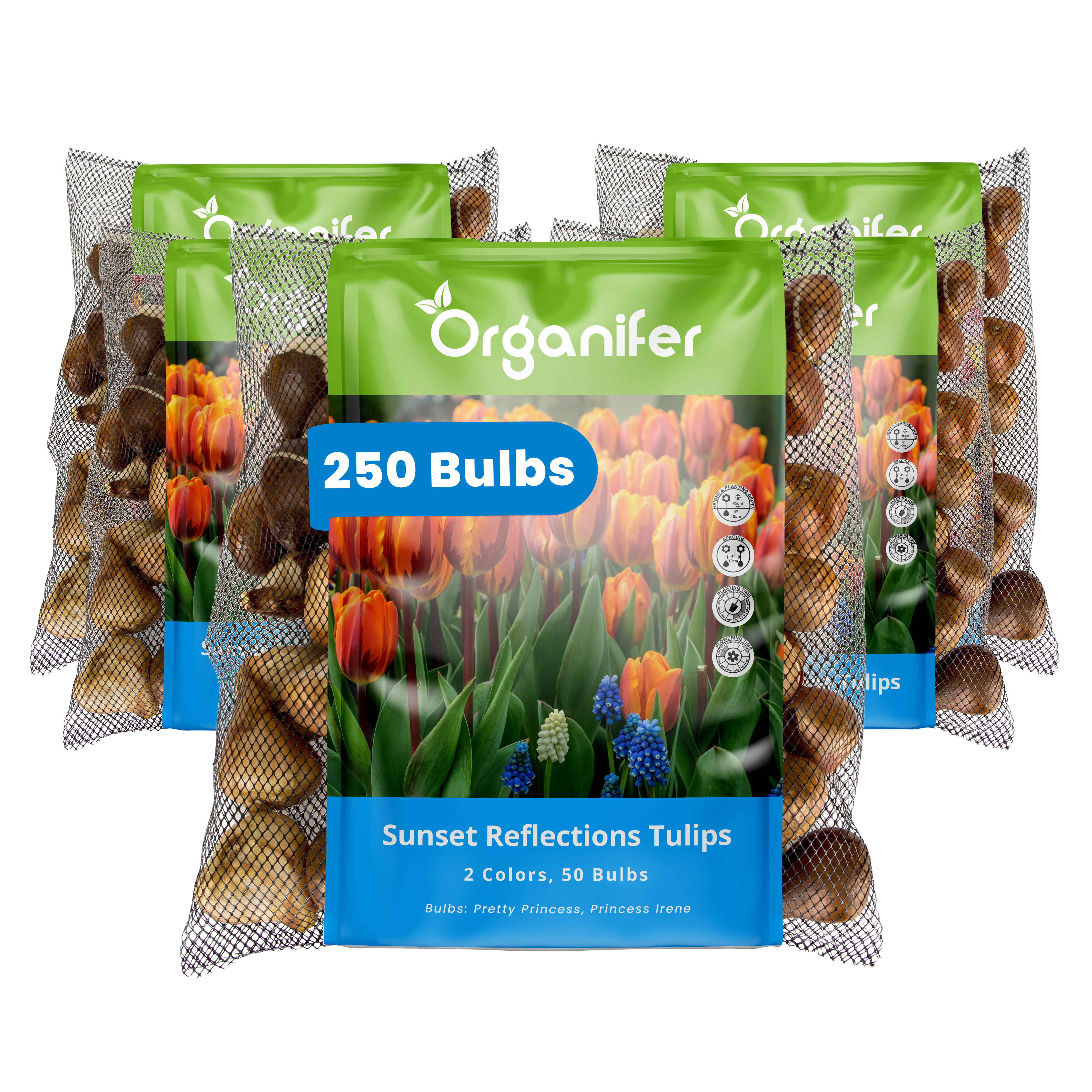 Packaging of Organifer Sunset Reflections Tulips bulbs on a white background