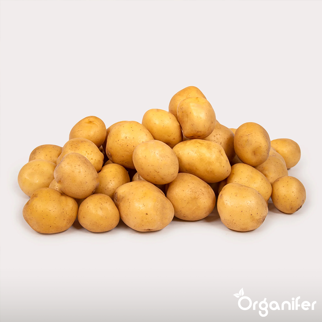 Pootaardappelen Frieslander A 28:35 (5 kg) 6