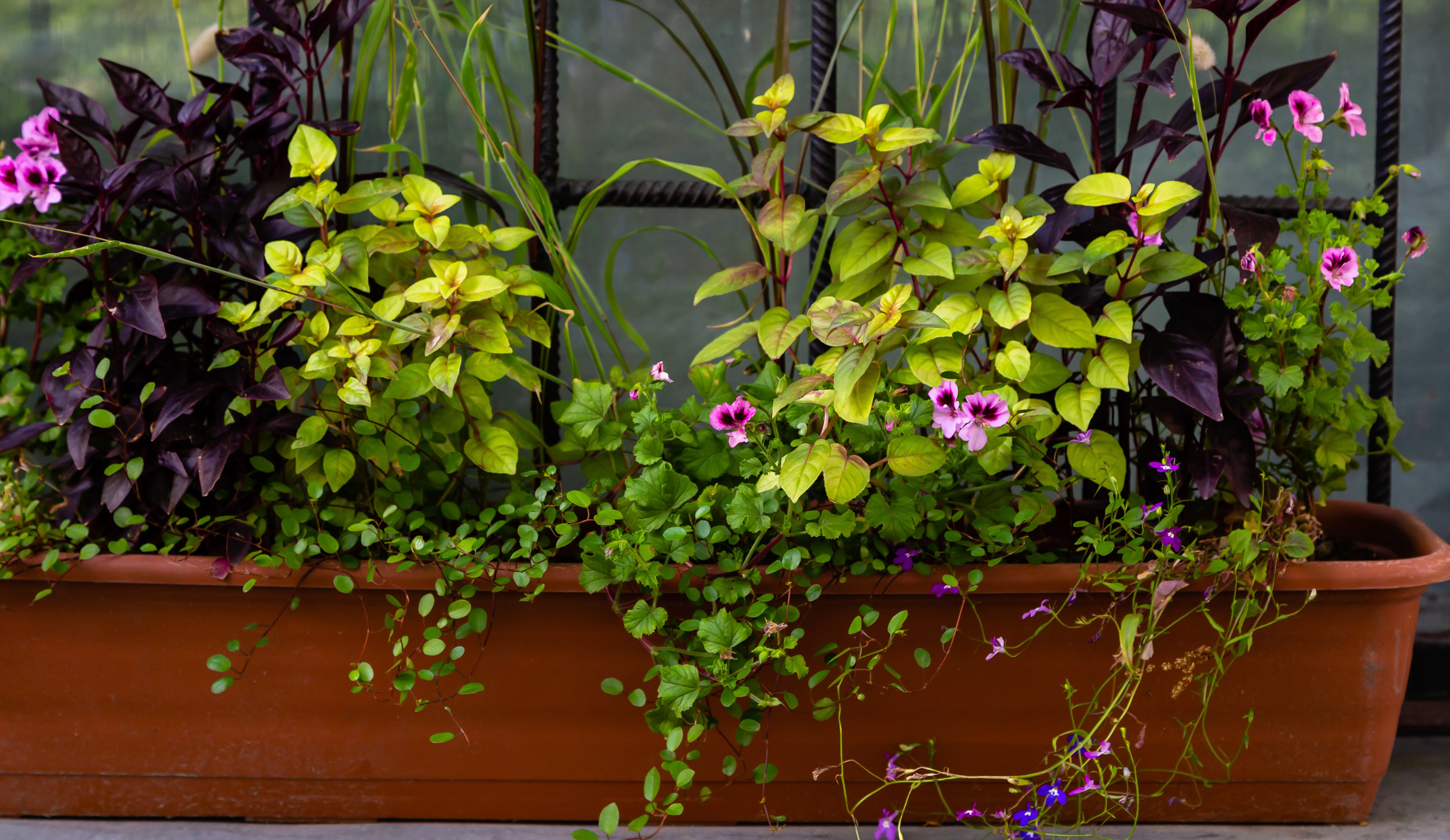 Resilience in Challenging Conditions