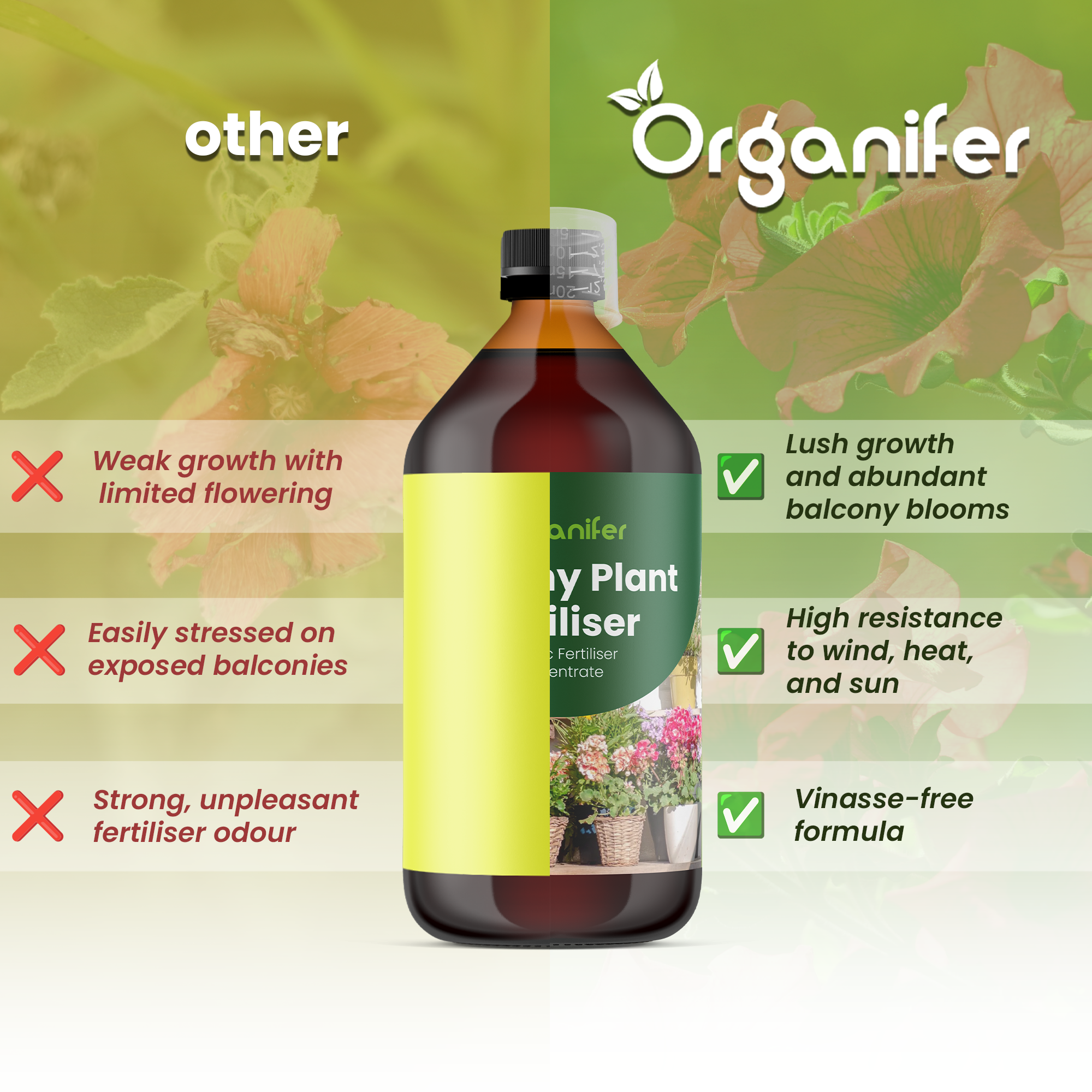 balcony plant comparison