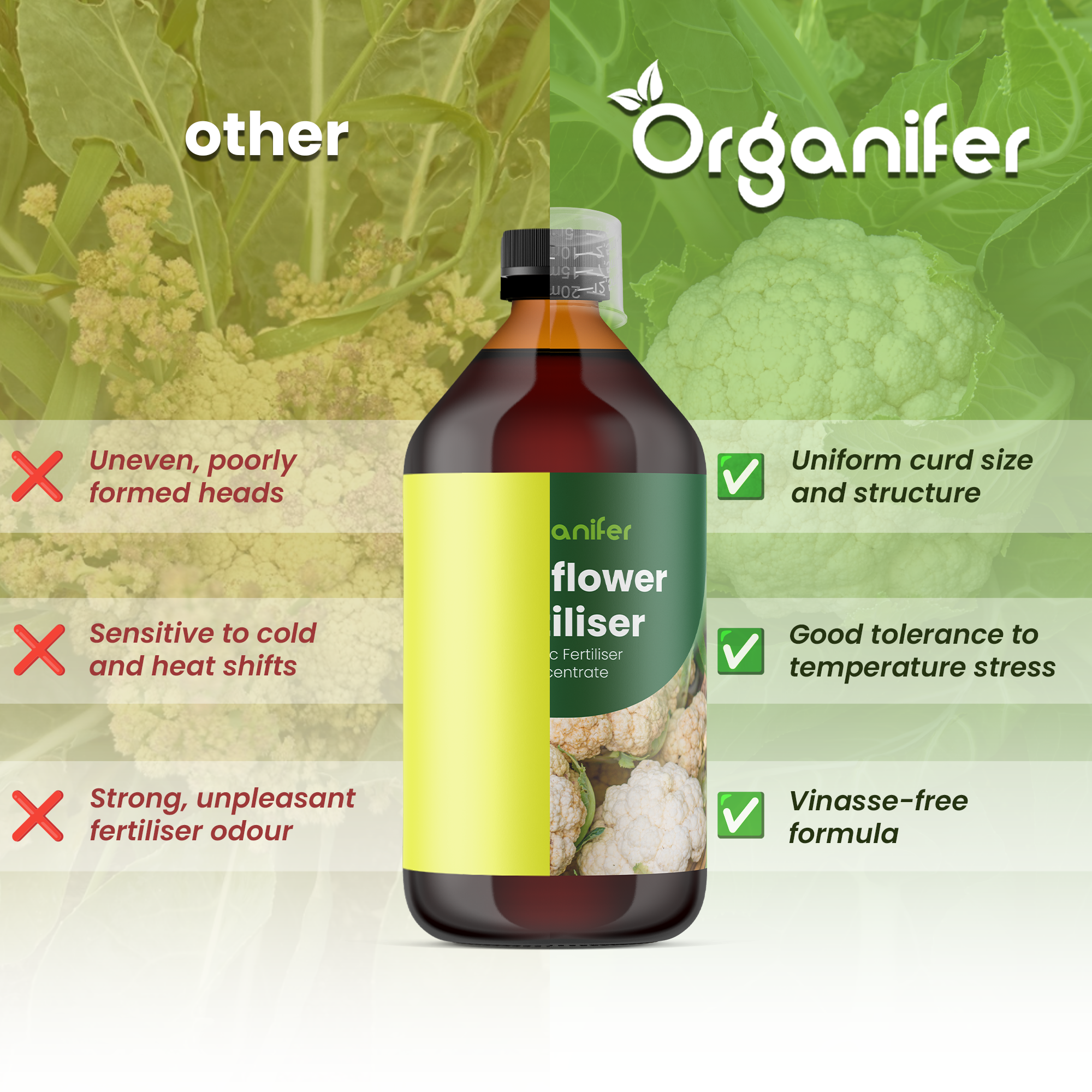 cauliflower comparison