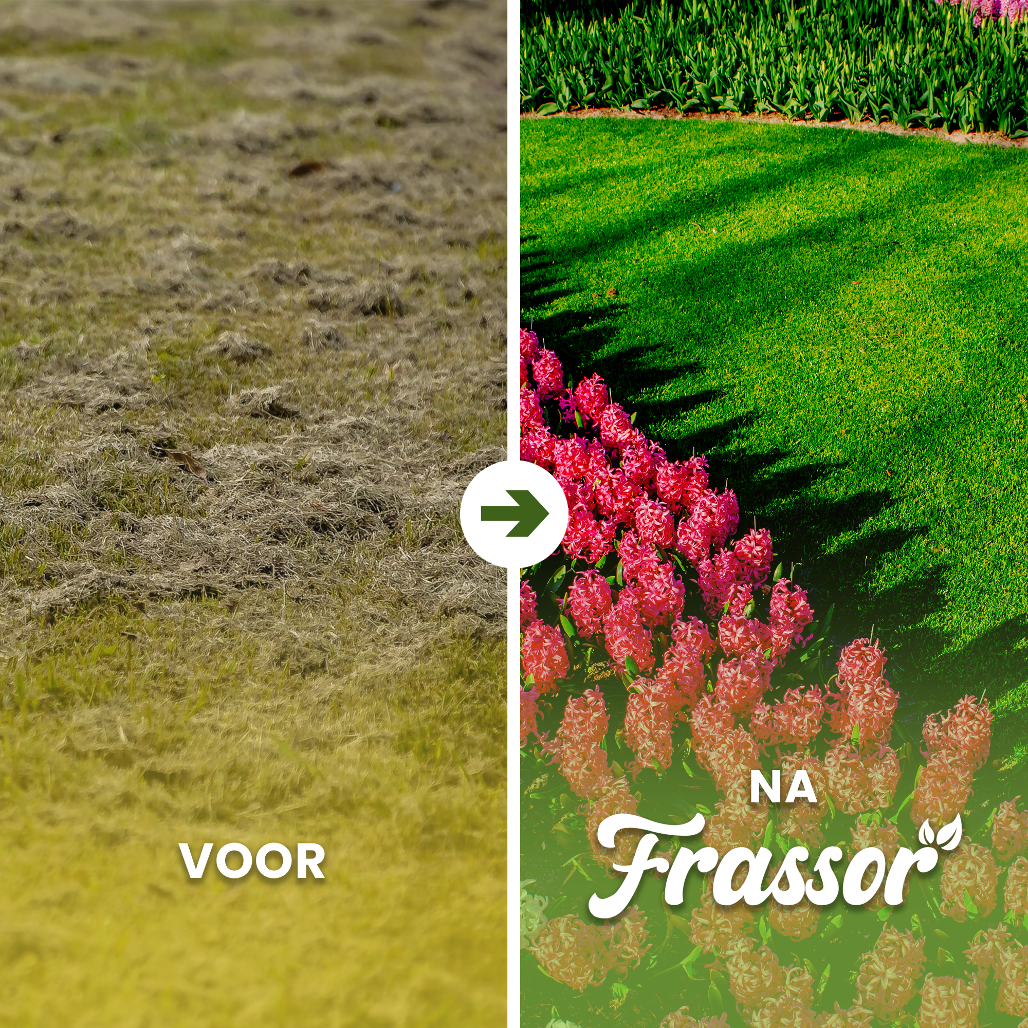 Frassor Insecten Frass