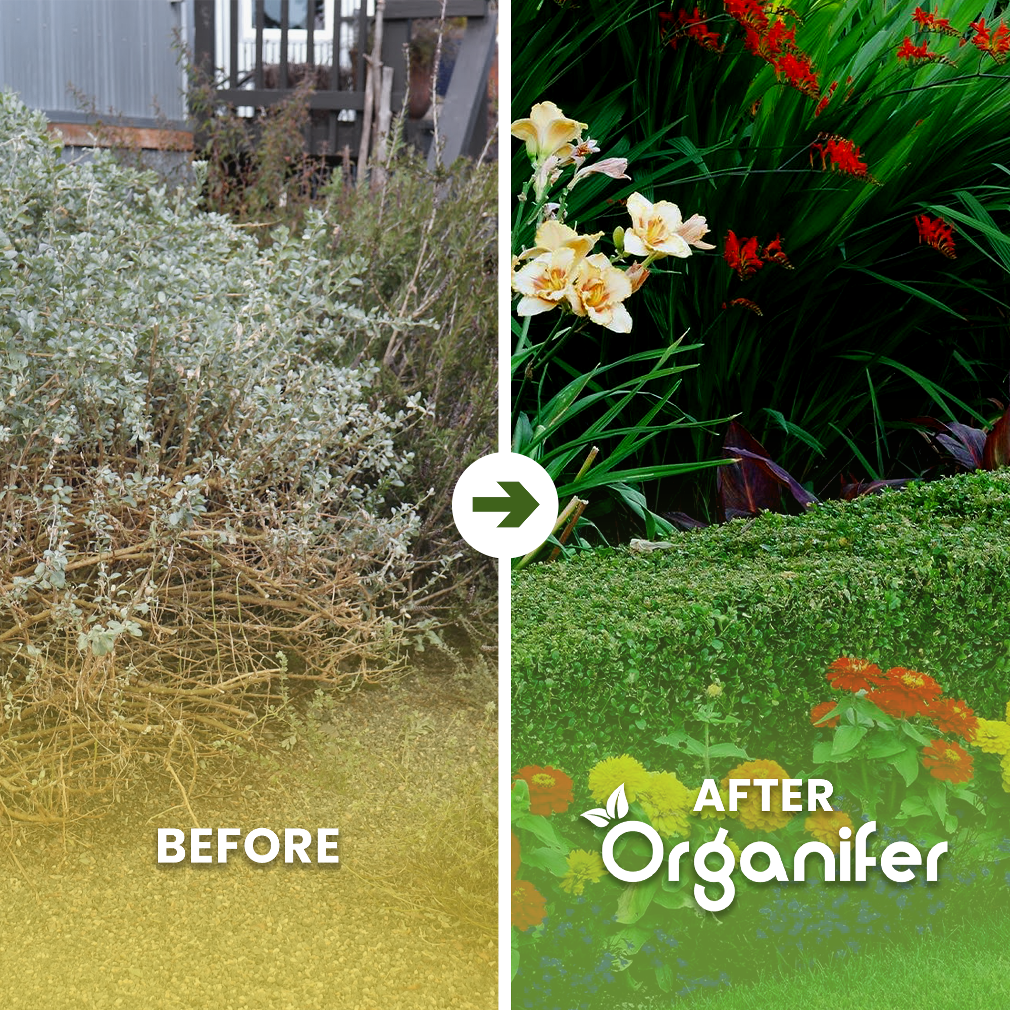 Lavameal from Eifel Primordial Rock Before - after