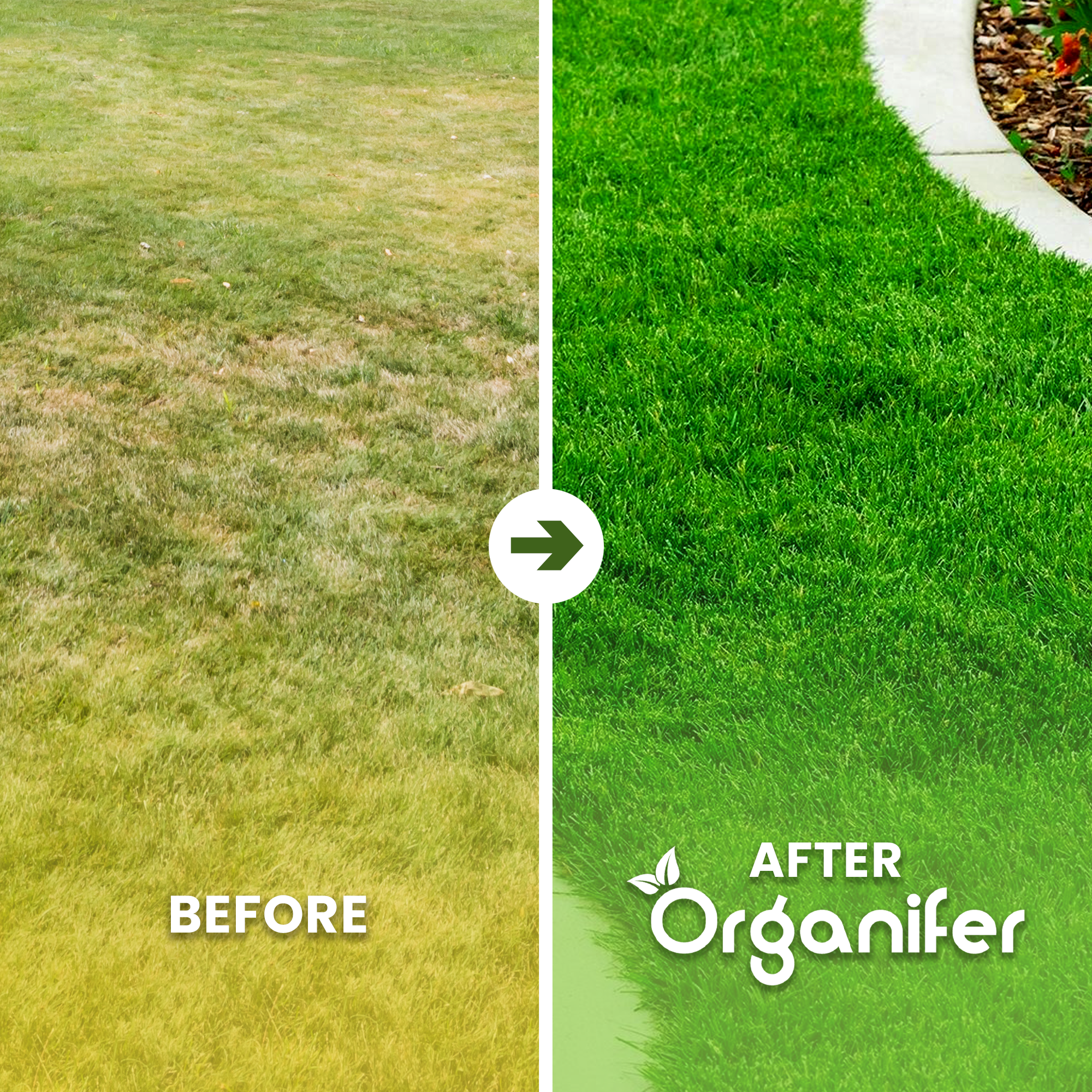 Lime Fertiliser with Magnesium Before - after