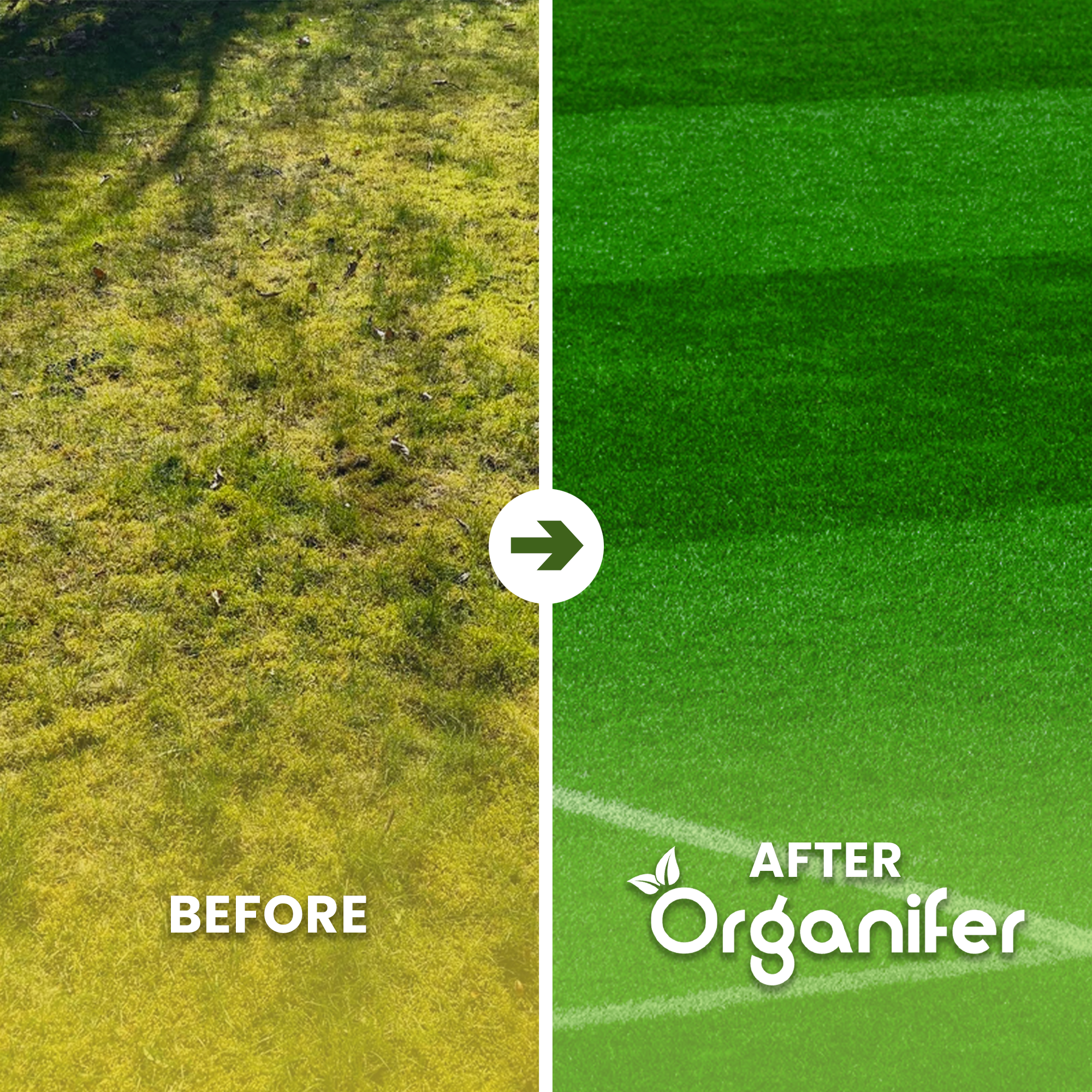 Pro Turf & Lawn Fertilizer Before - after
