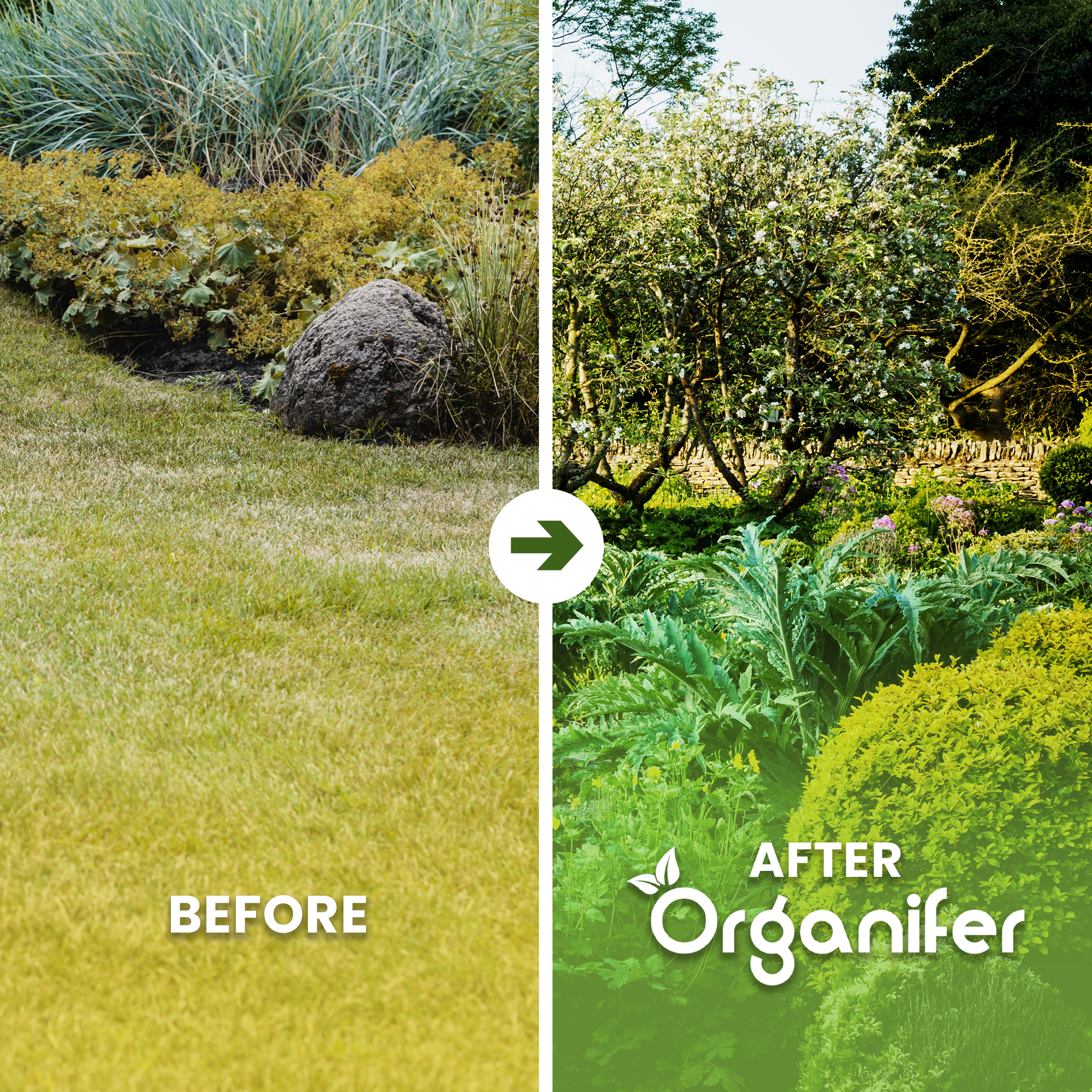 Meelworm Frass Before - after