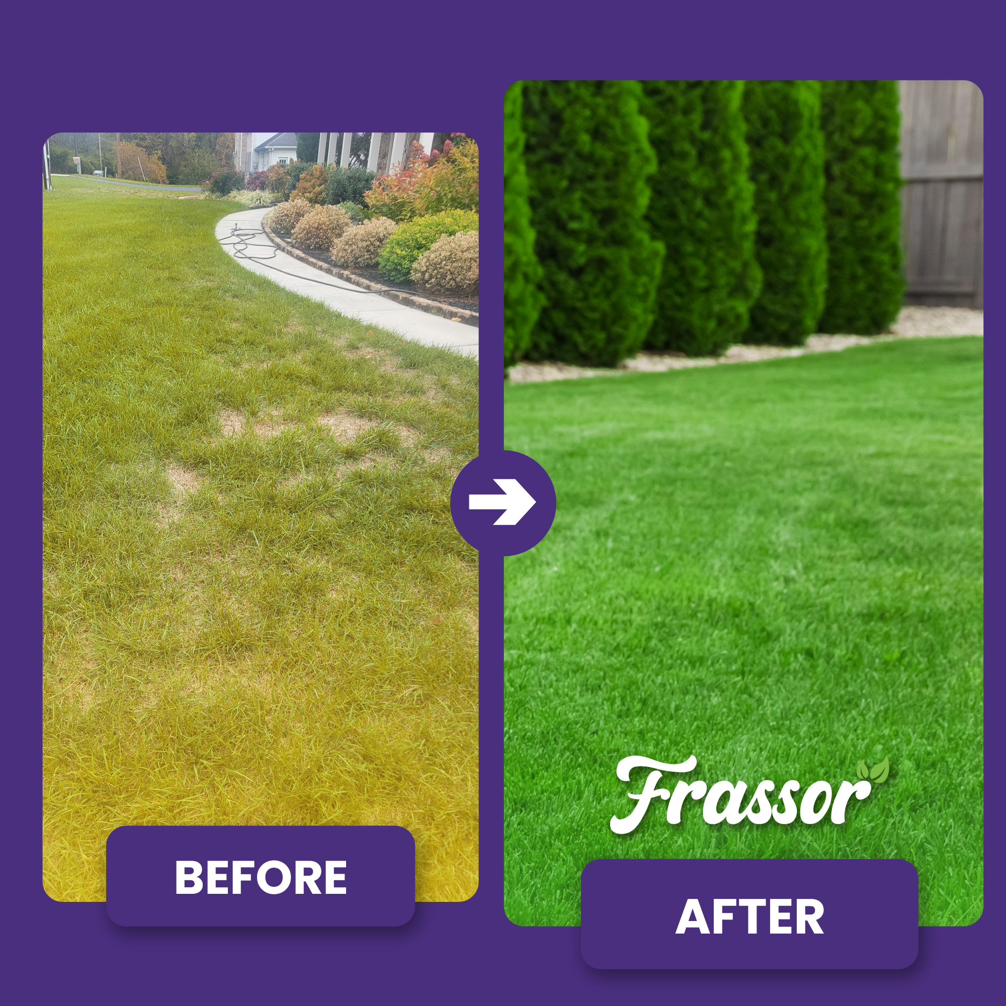 frassor lawn all-in-one ba english