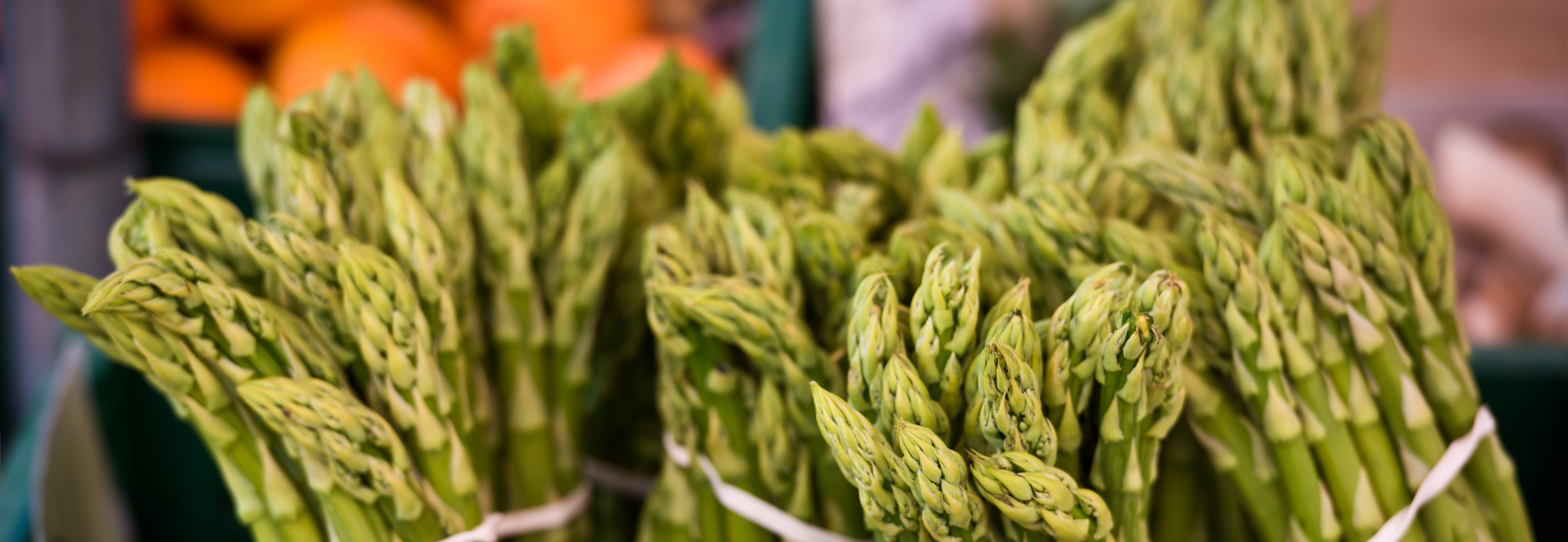 Strong Root Crowns for Long-Term Productivity