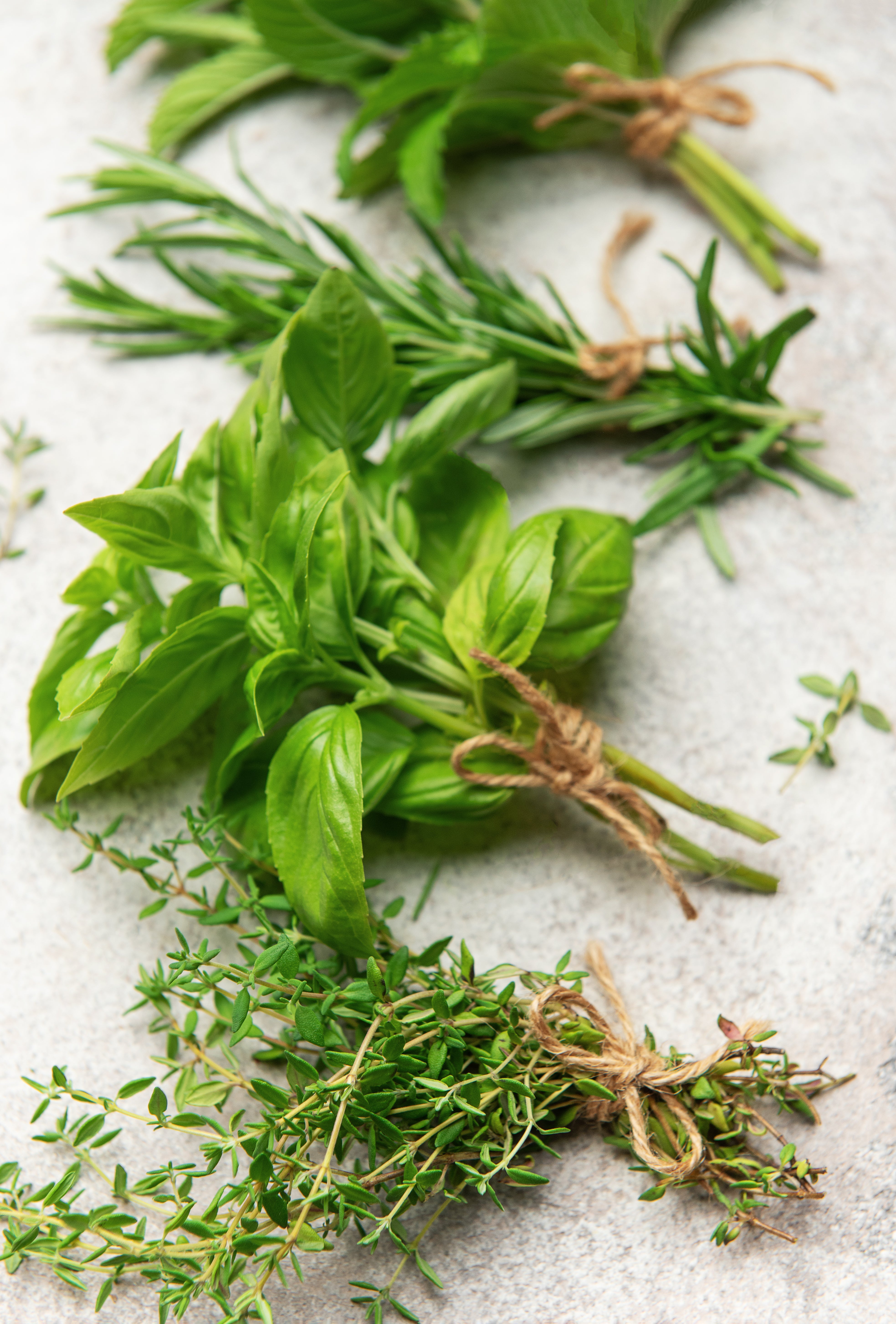 Popular Kitchen Herbs for Every Dish