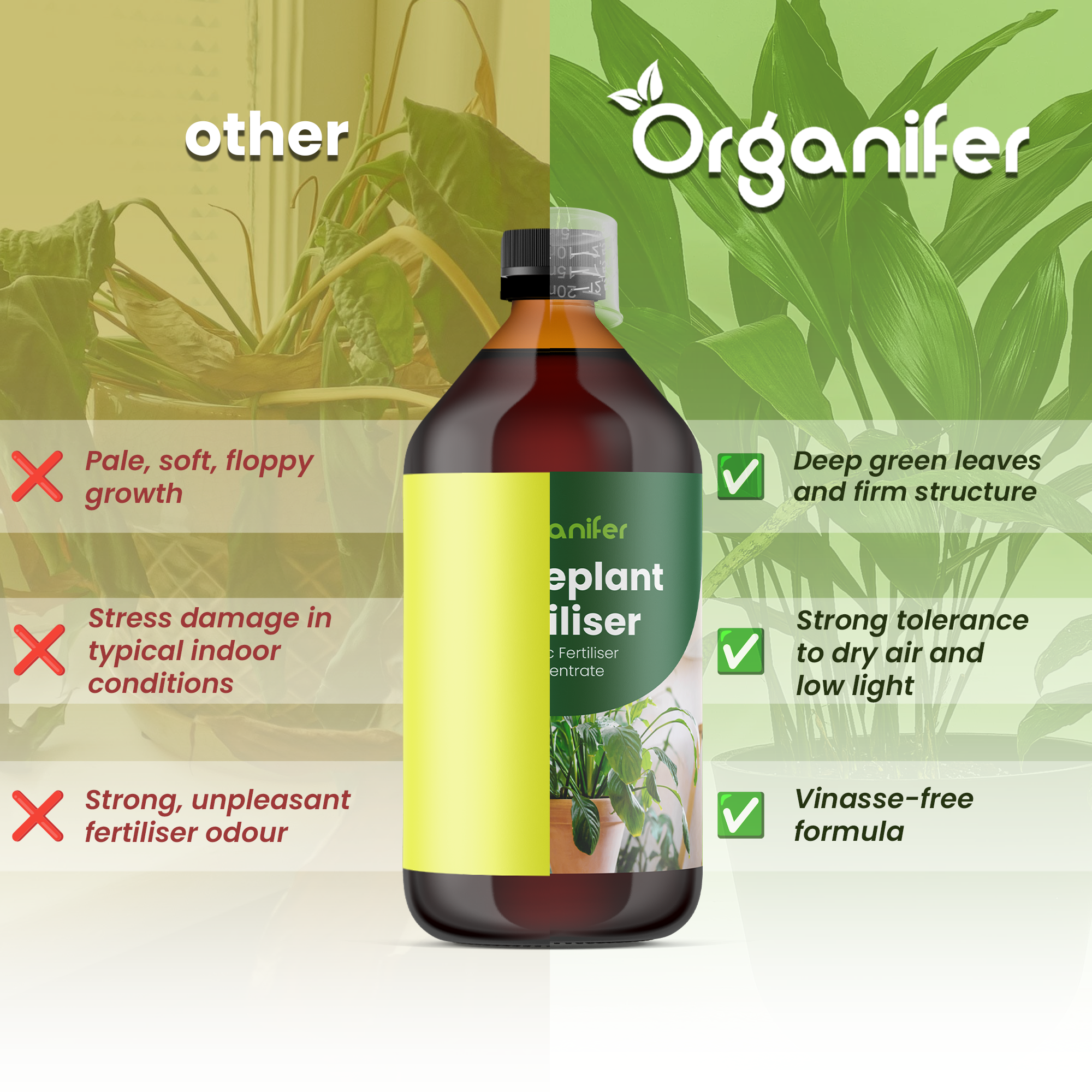 liquid fertiliser Houseplant comparison