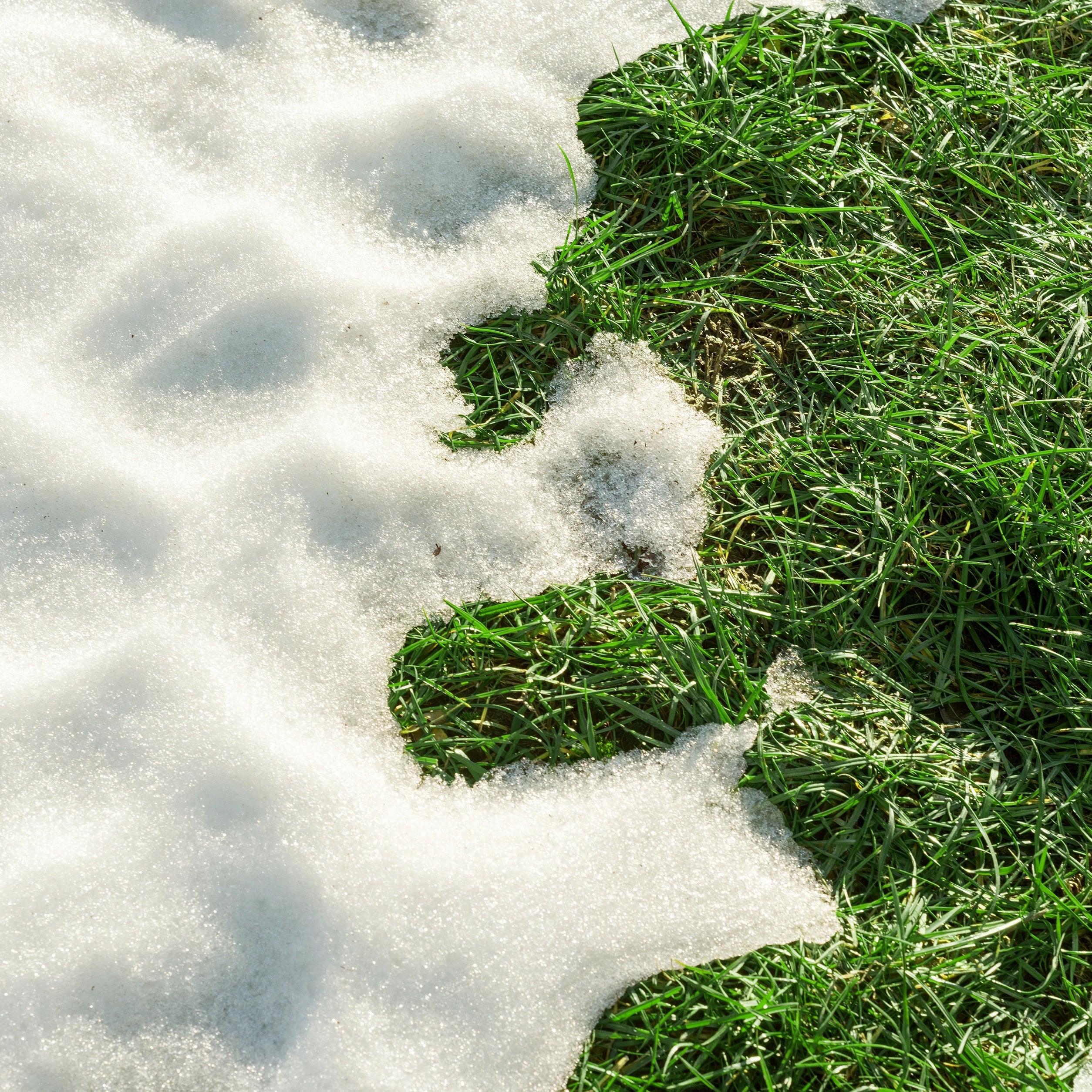 Improves Lawn and Sports Field Durability