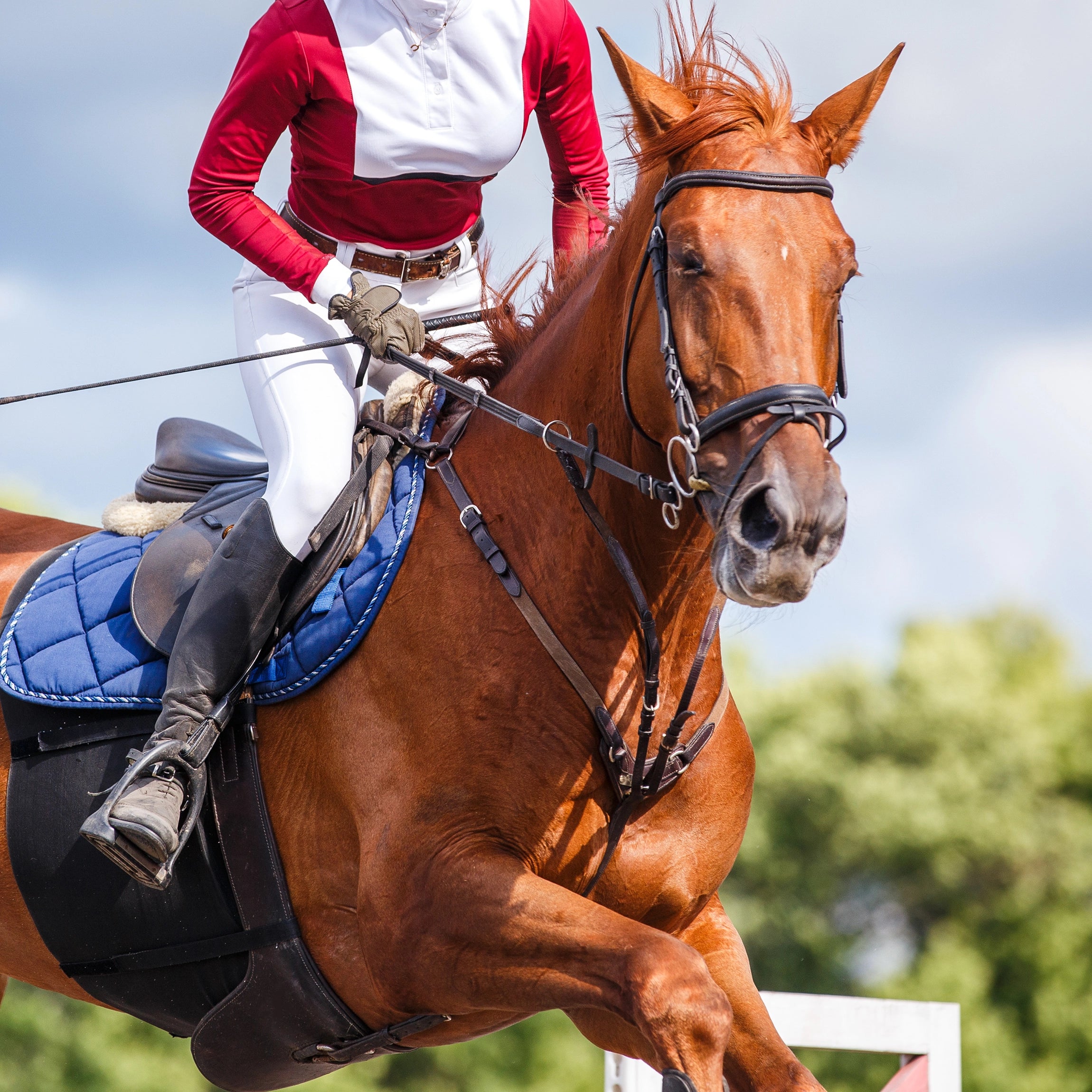 Healthy and Fibre-Rich Crop