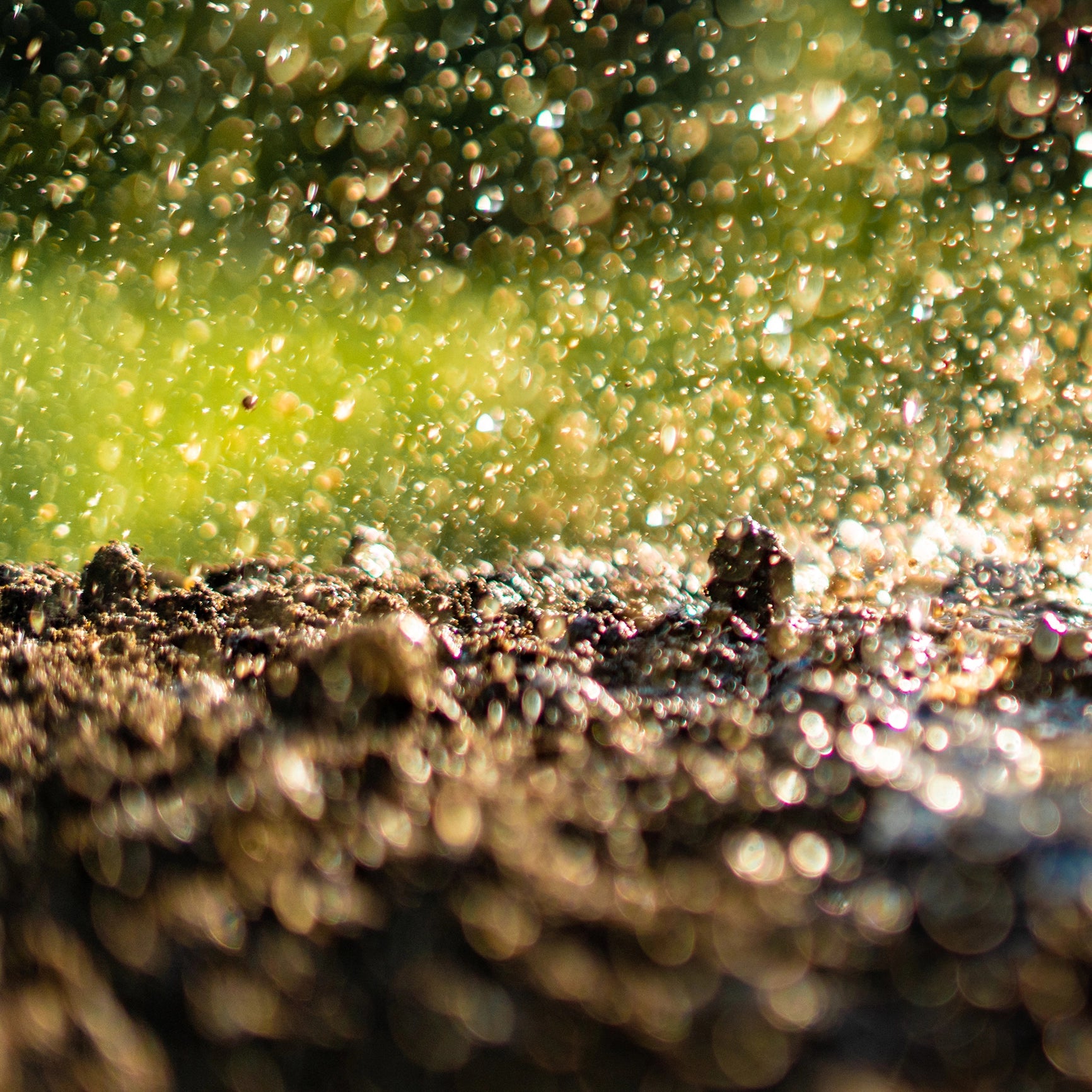 Improves Water Regulation in the Root Environment