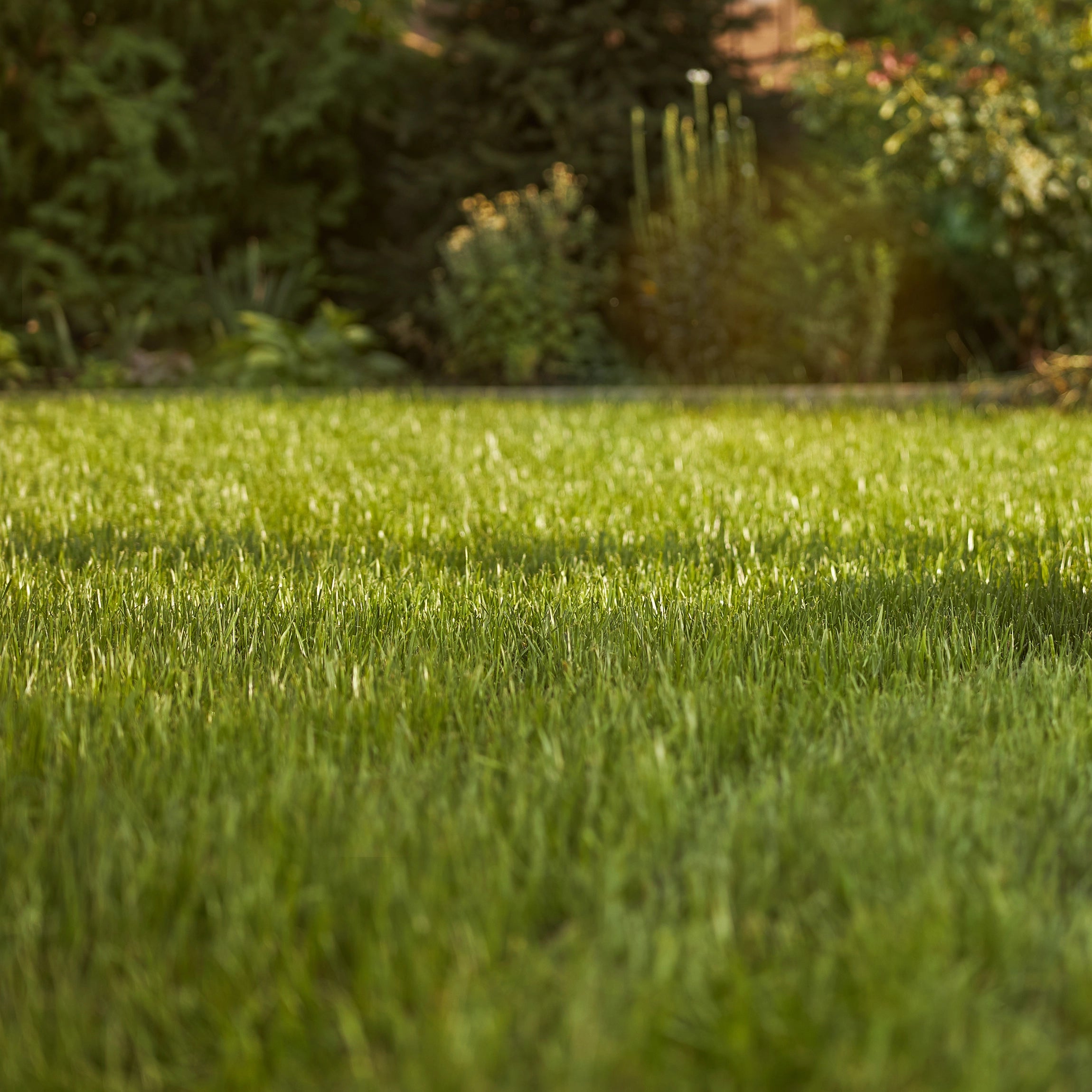 Environmentally Friendly Formula