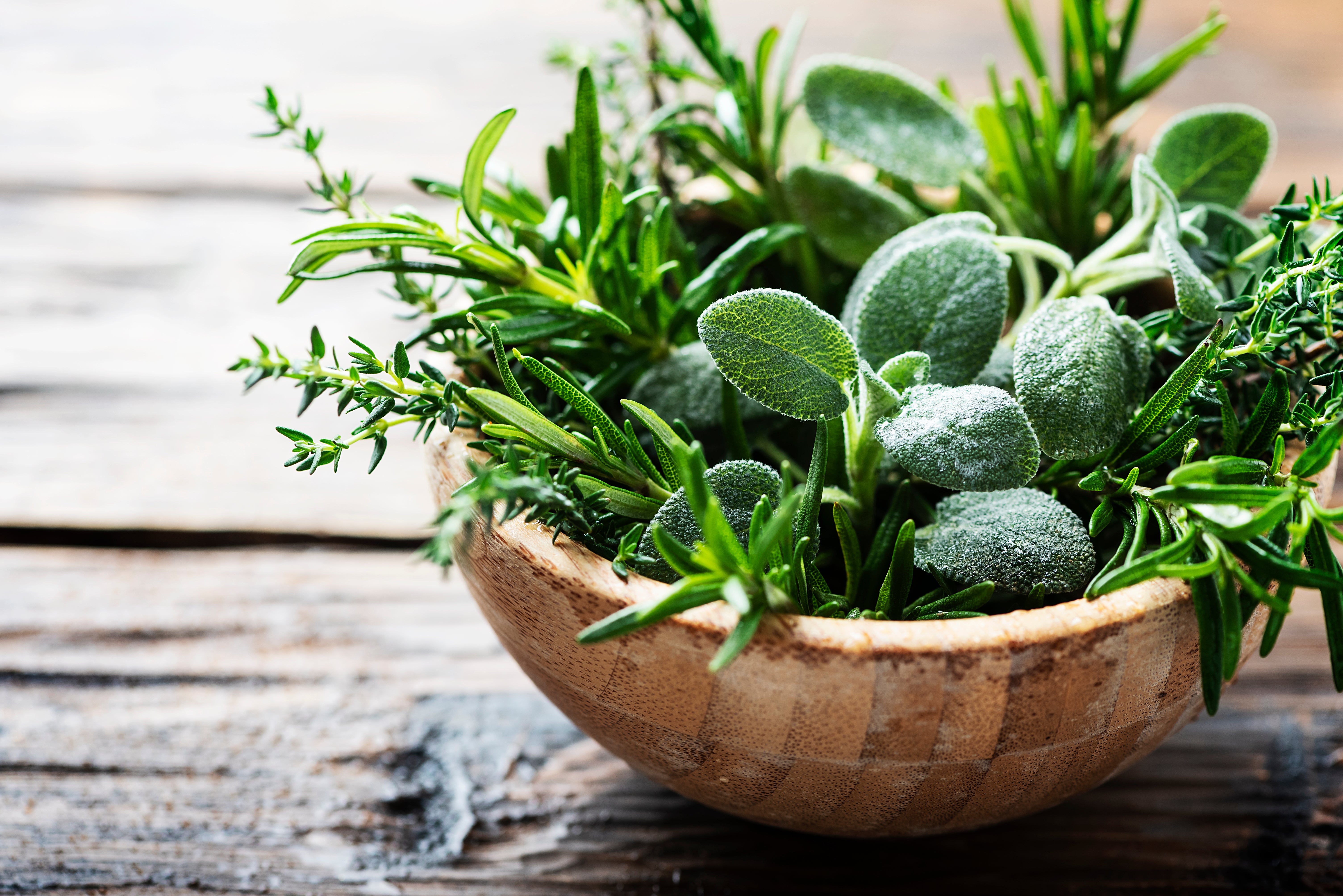 Certified Organic Herb Collection