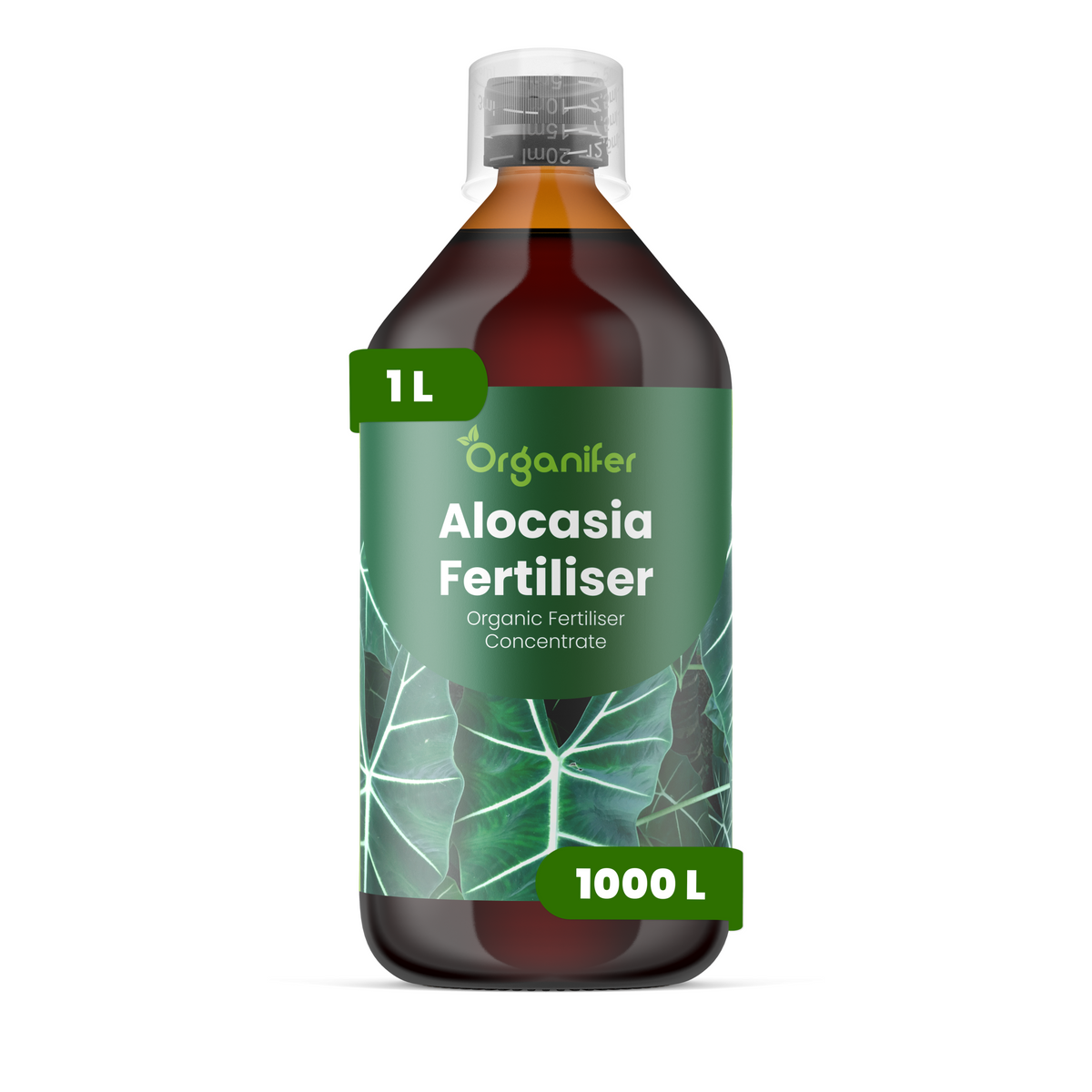 Alocasia 1L labels