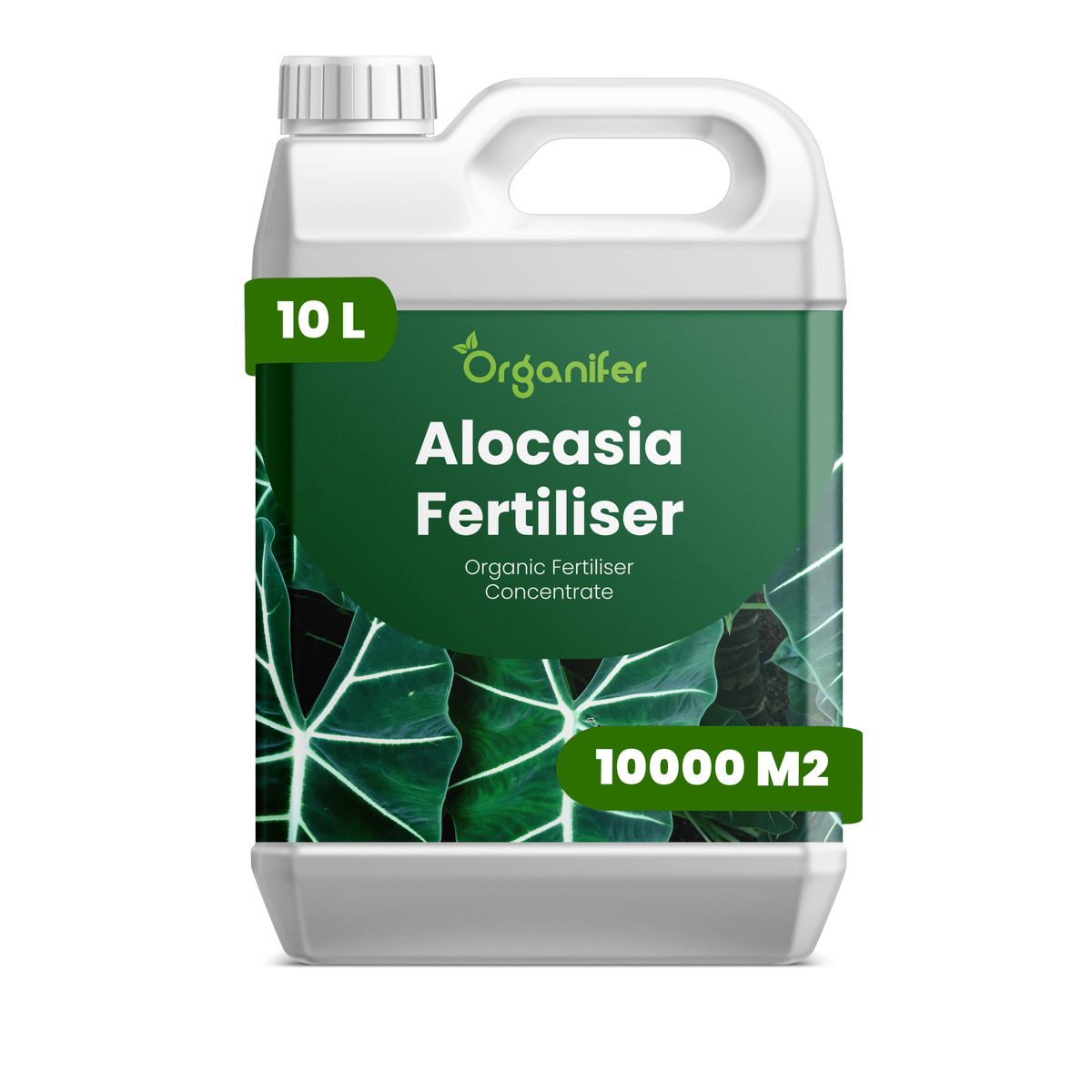 10L Alocasia labels