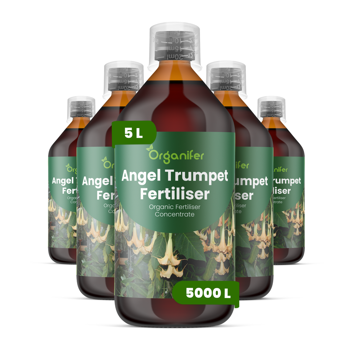 8719958003910 5L Angel Trumpet labels