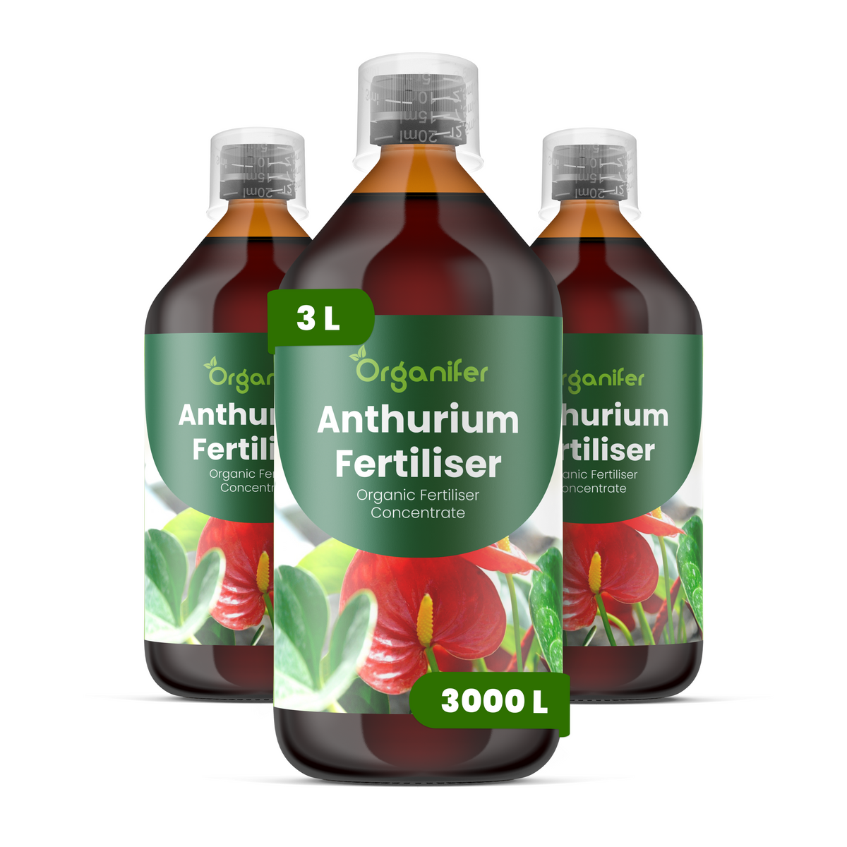 8719958003972 3L Anthurium labels