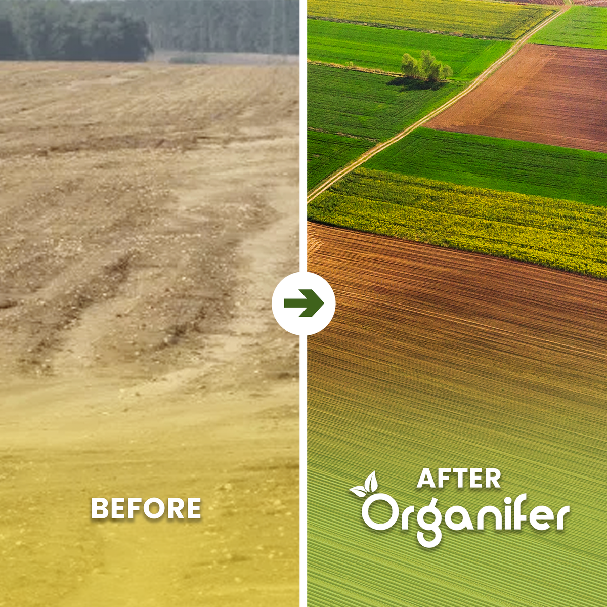 Basalt Clay Soil Improver Before - after