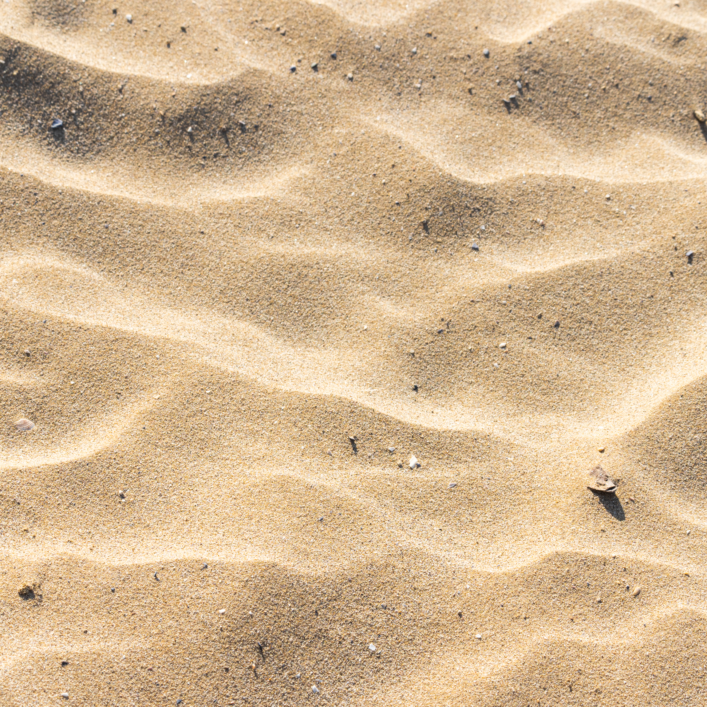 Improves Soil Microbial Activity