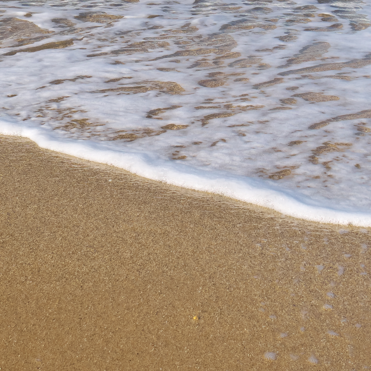 Boosts Resilience Against Coastal Stress