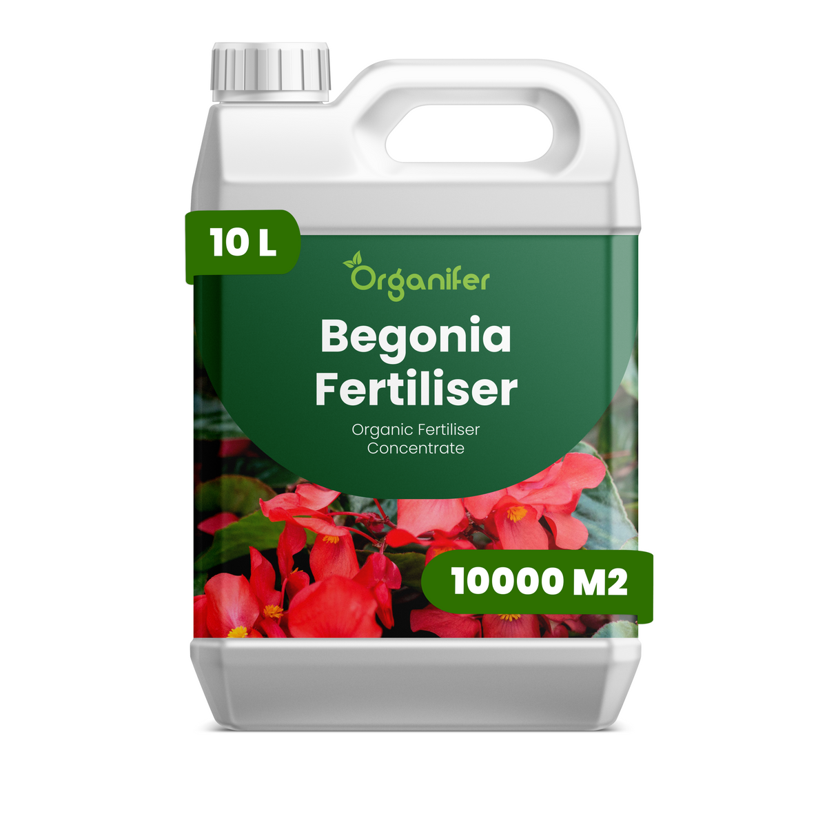 8719958000384 10L begonia labels