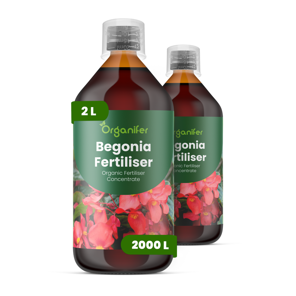 8719958004405 2L begonia labels