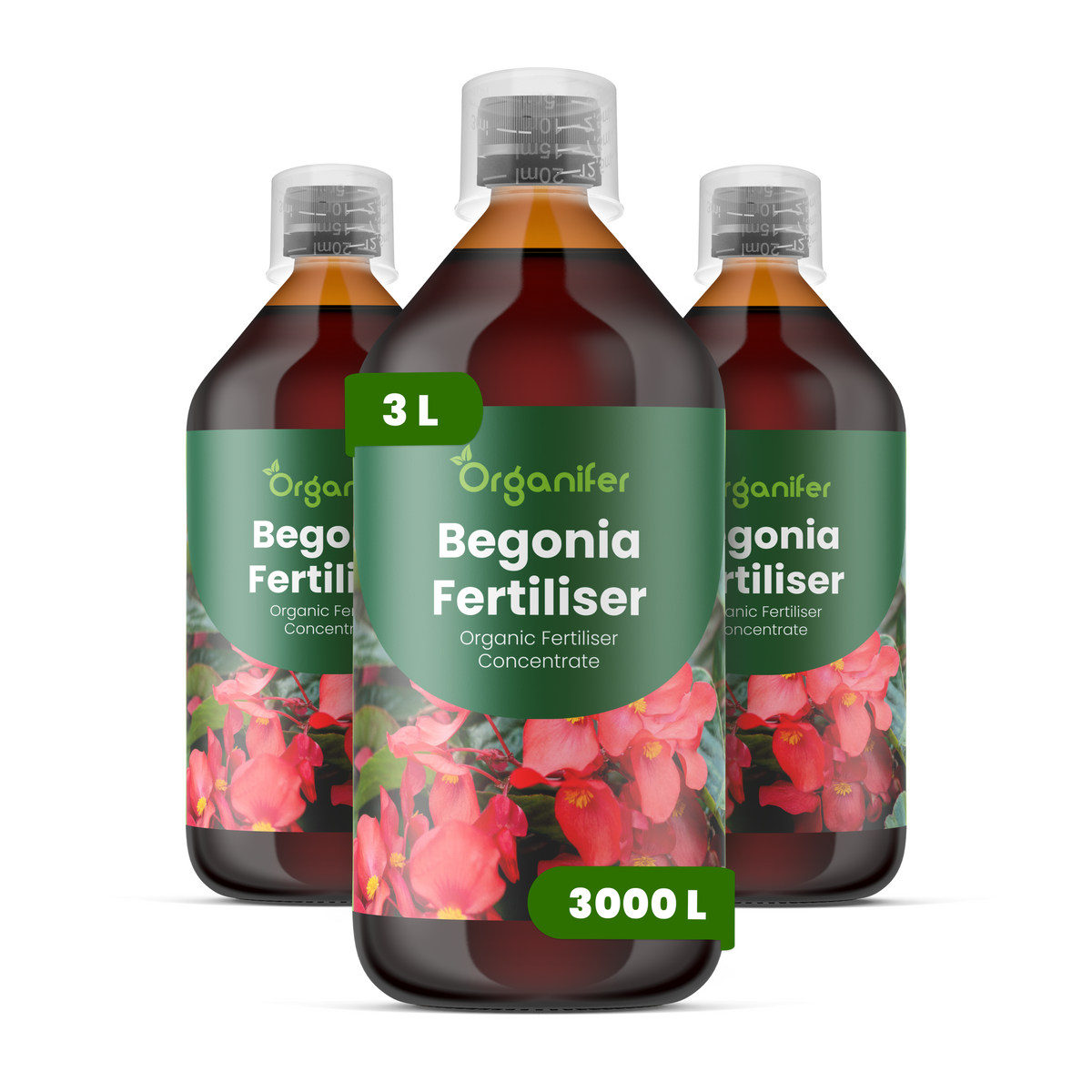 8719958004412 3L begonia labels